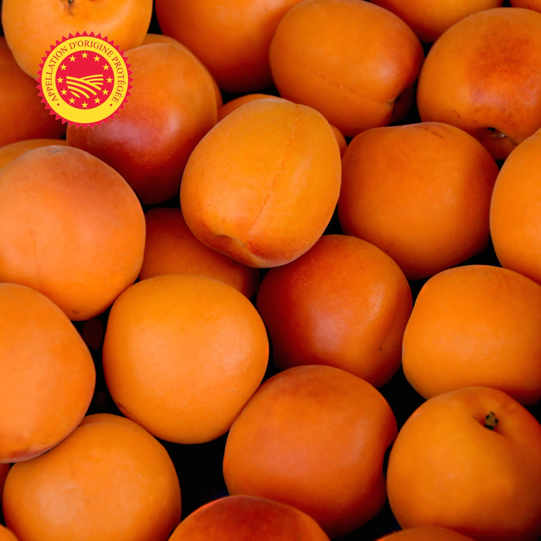 đ Abricots Rouges du Roussillon AOP â colis de 5âŻkg