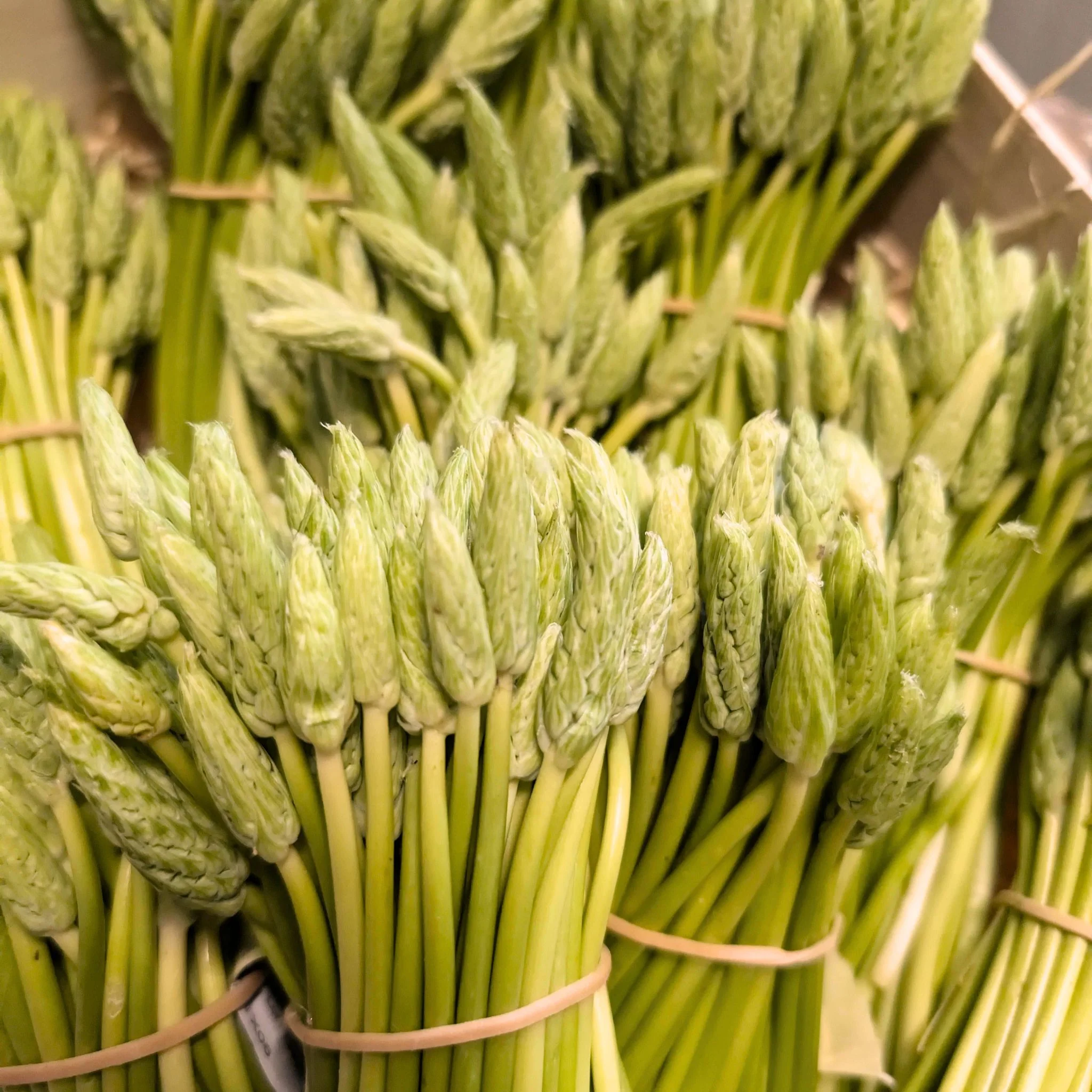 đż Asperge Sauvage â 200g