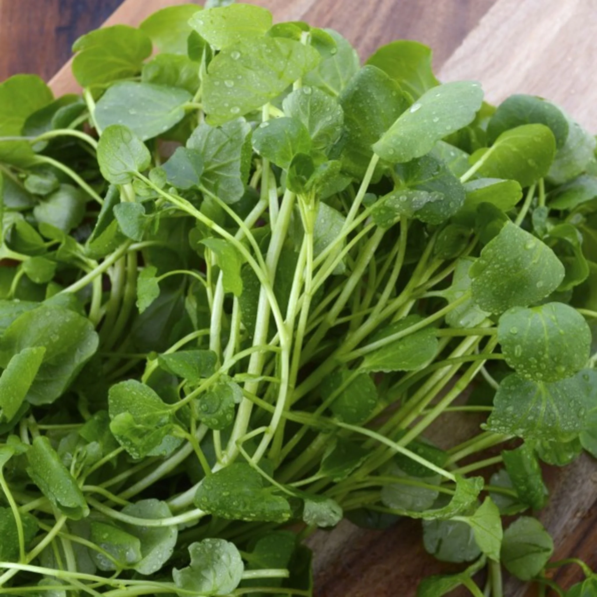 đż Cresson frais â 1 botte (â 500 g)