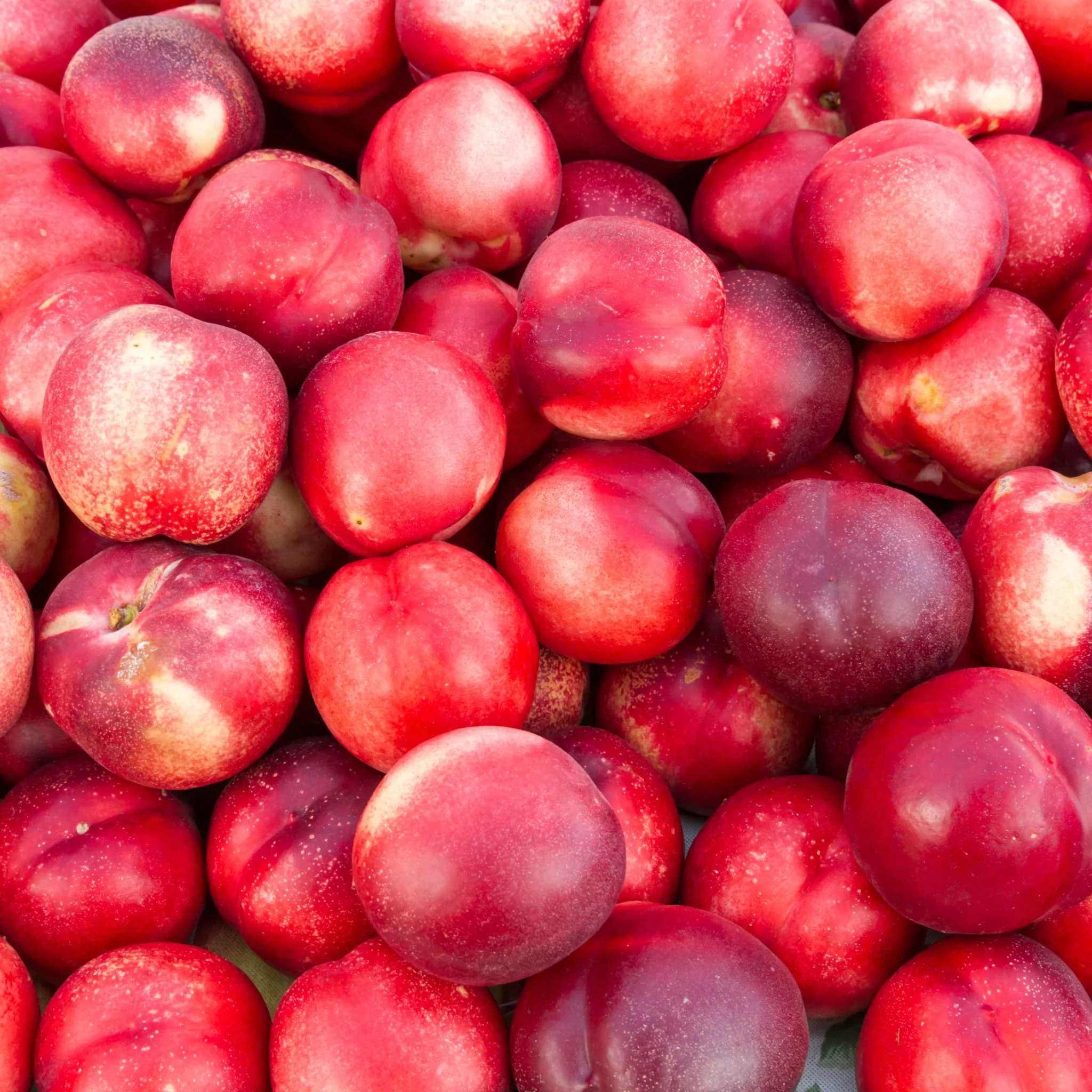 🍑 Nectarines blanches Royal - 1kg