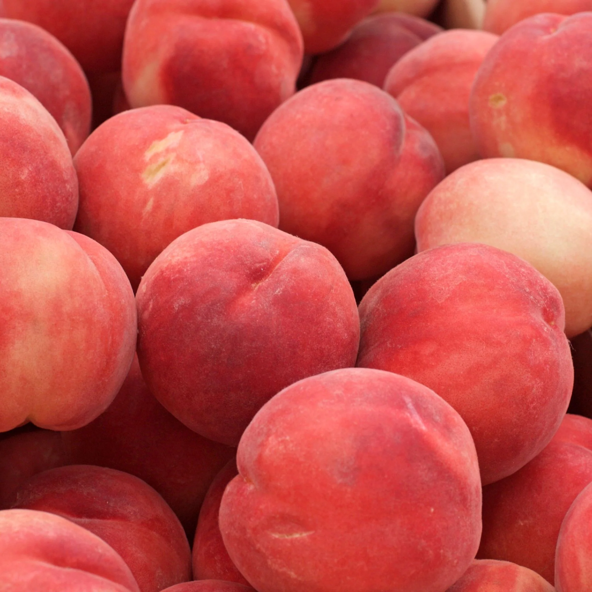 đ PĂȘches Blanches Royal â 1 kg