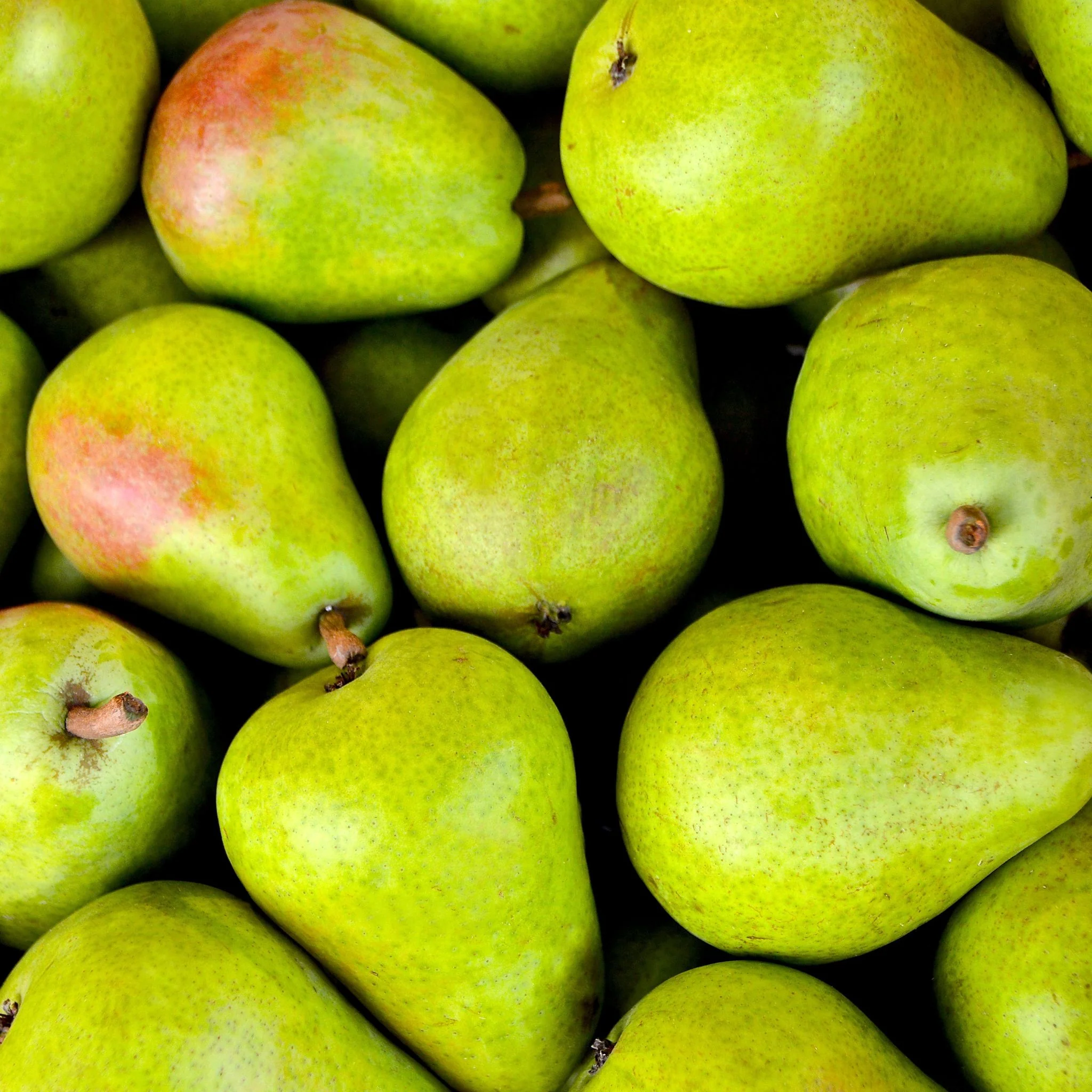 đ Poire Guyot â 1 kg
