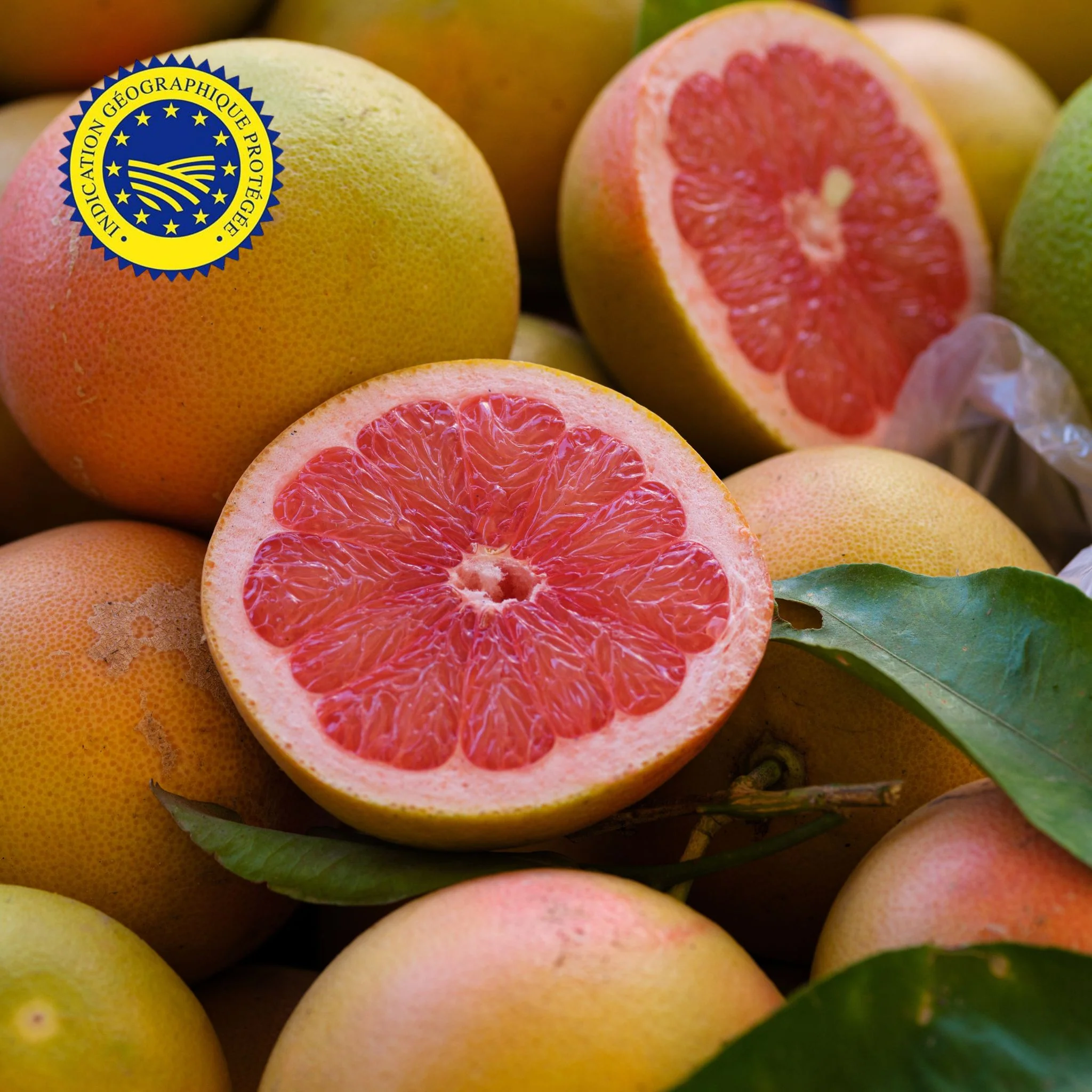 đ Pomelo de Corse IGP - 400g (Vendu Ă lâunitĂ©)