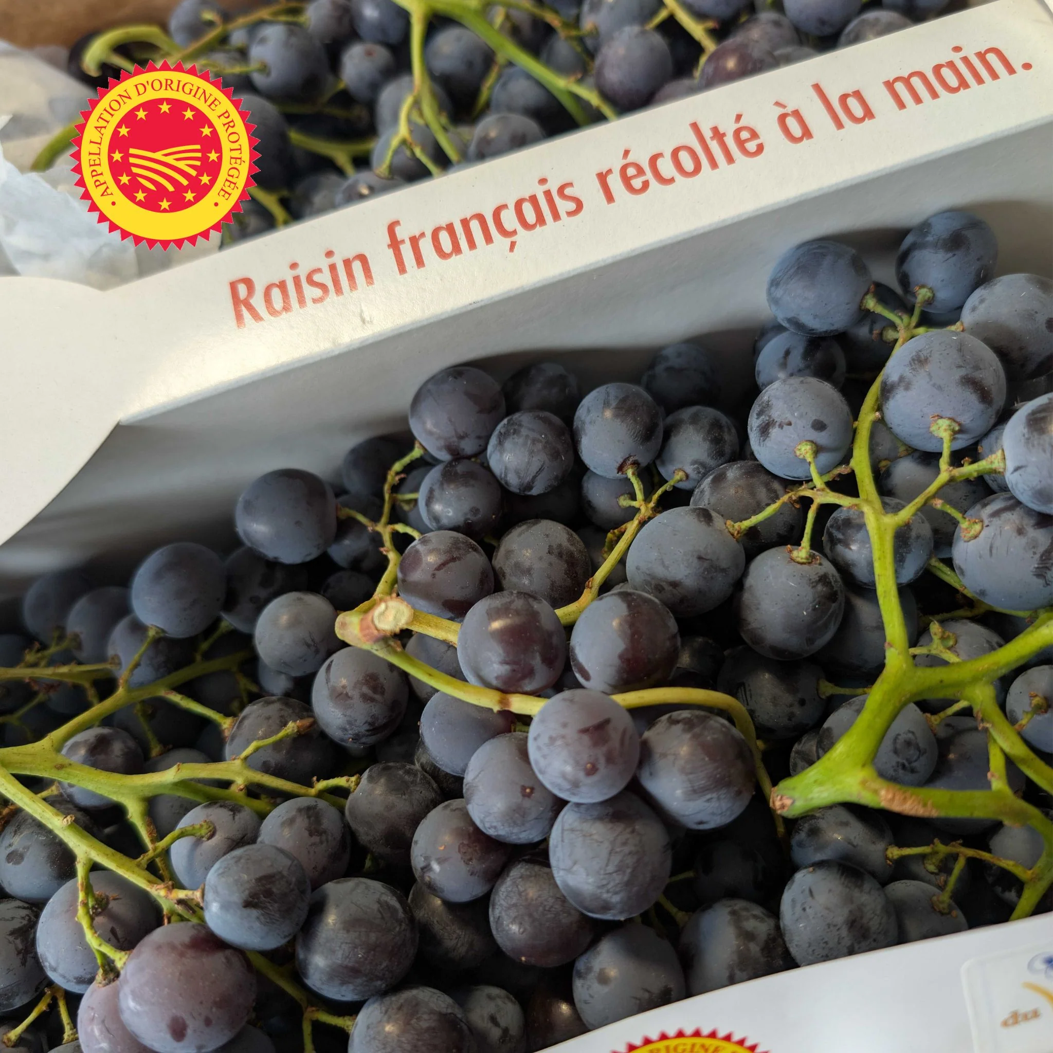 đ Raisin Muscat du Ventoux AOP â 1âŻkg - Image 2