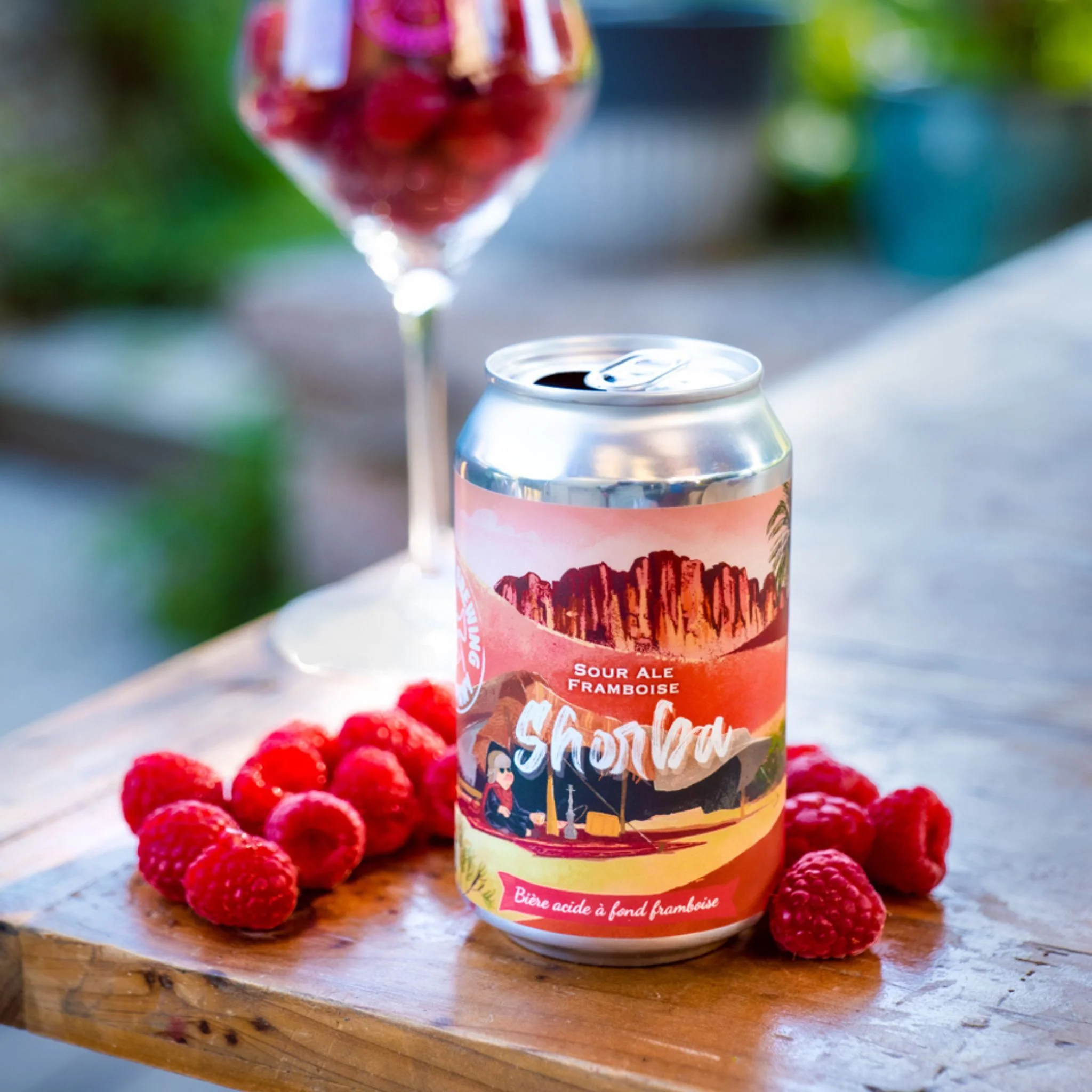 đș Shorba â Fruited Sour â 33cl Canette â 4,2% vol. - Image 3