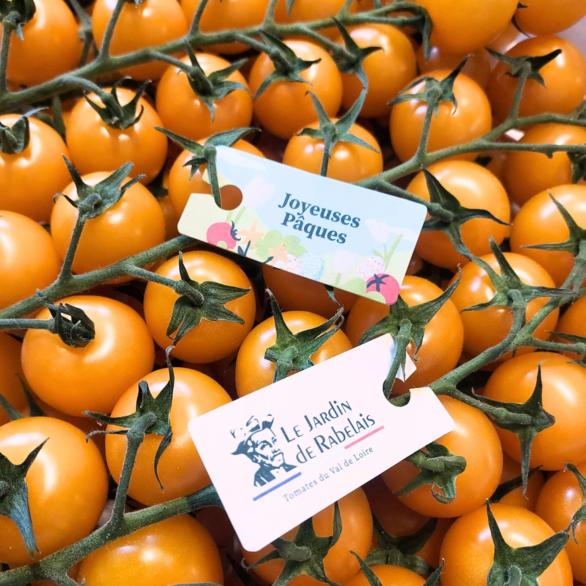 đ
Tomates Cerises Jaunes du Jardin de Rabelais â 300g