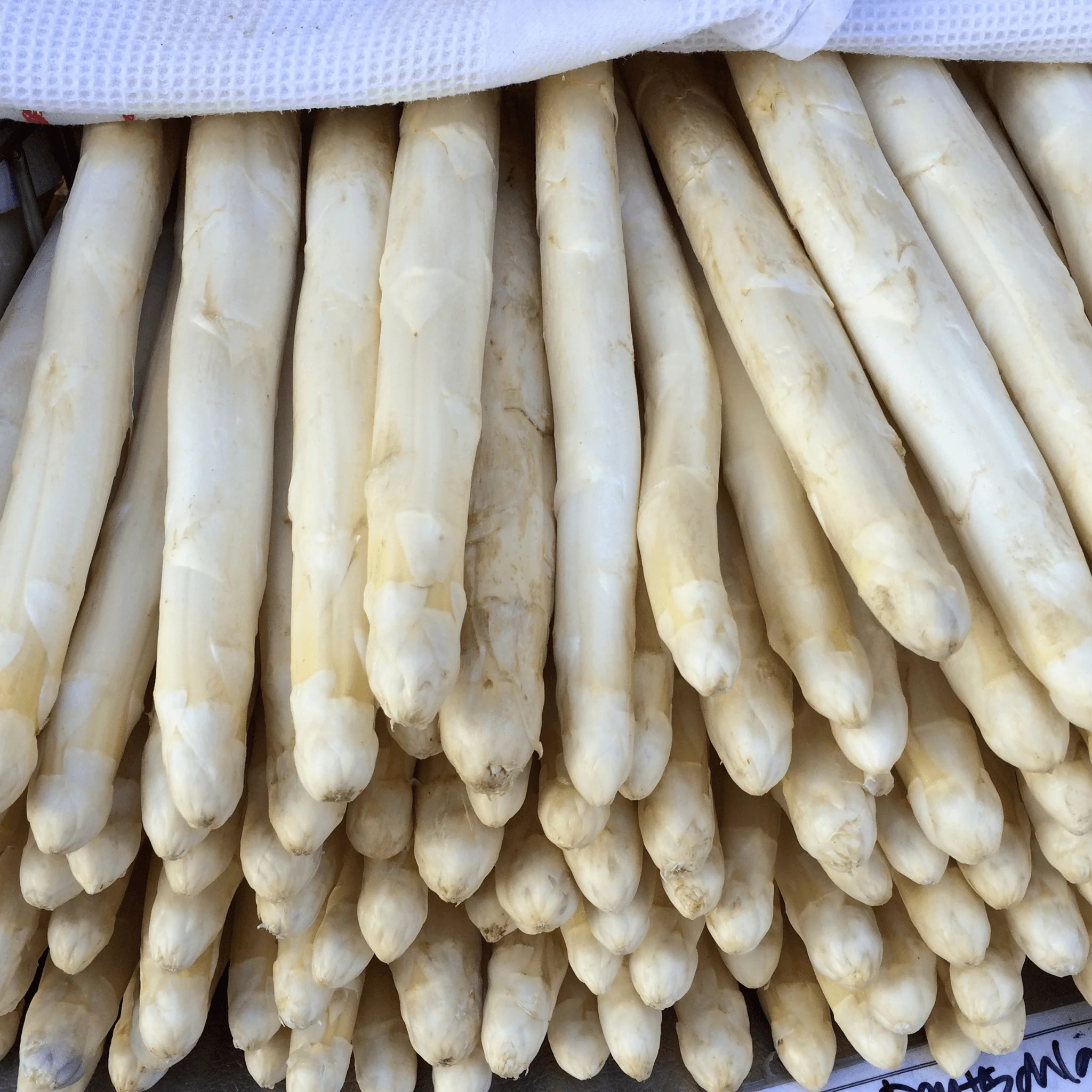 đż Asperges Blanches â 500g