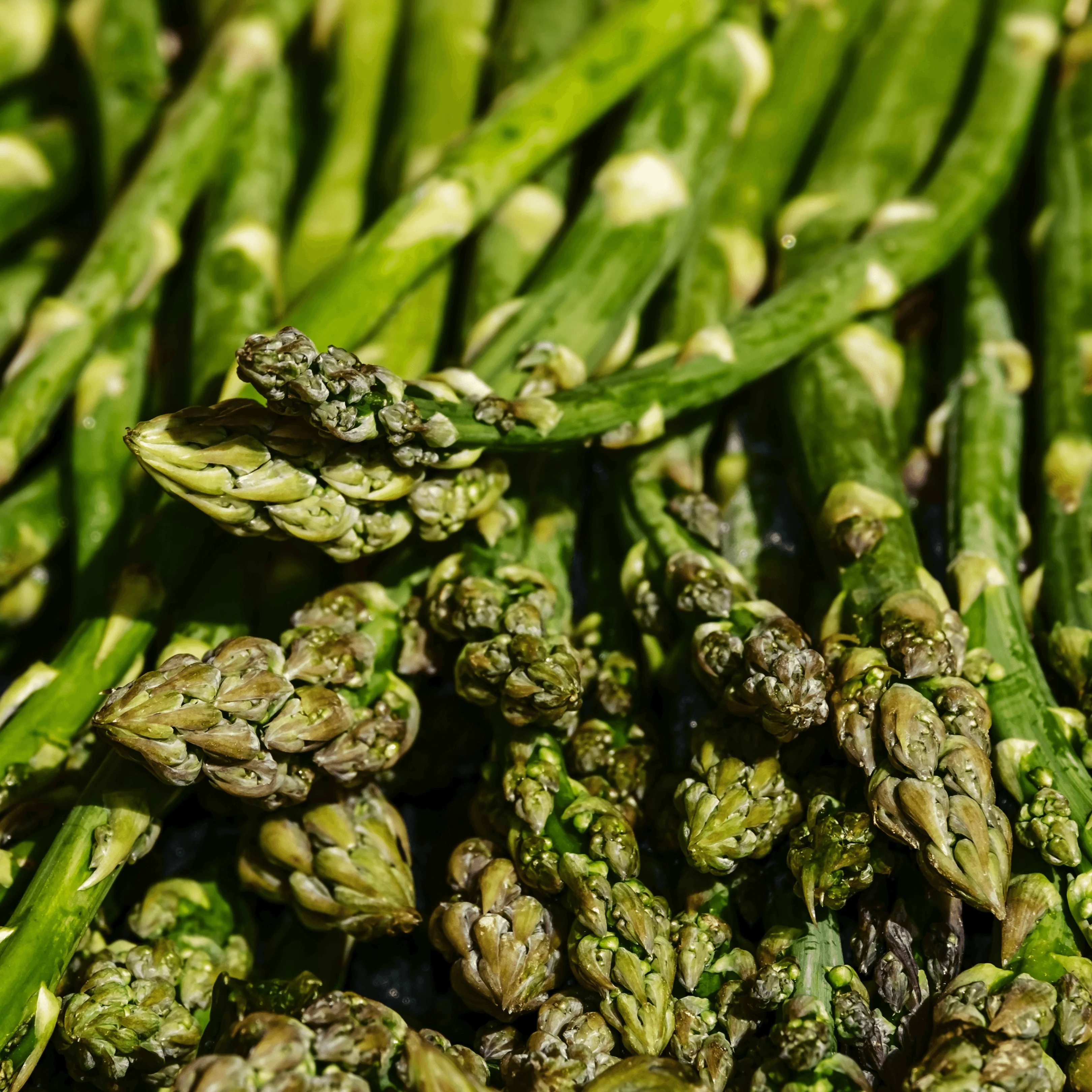 đ± Asperges vertes - 500g