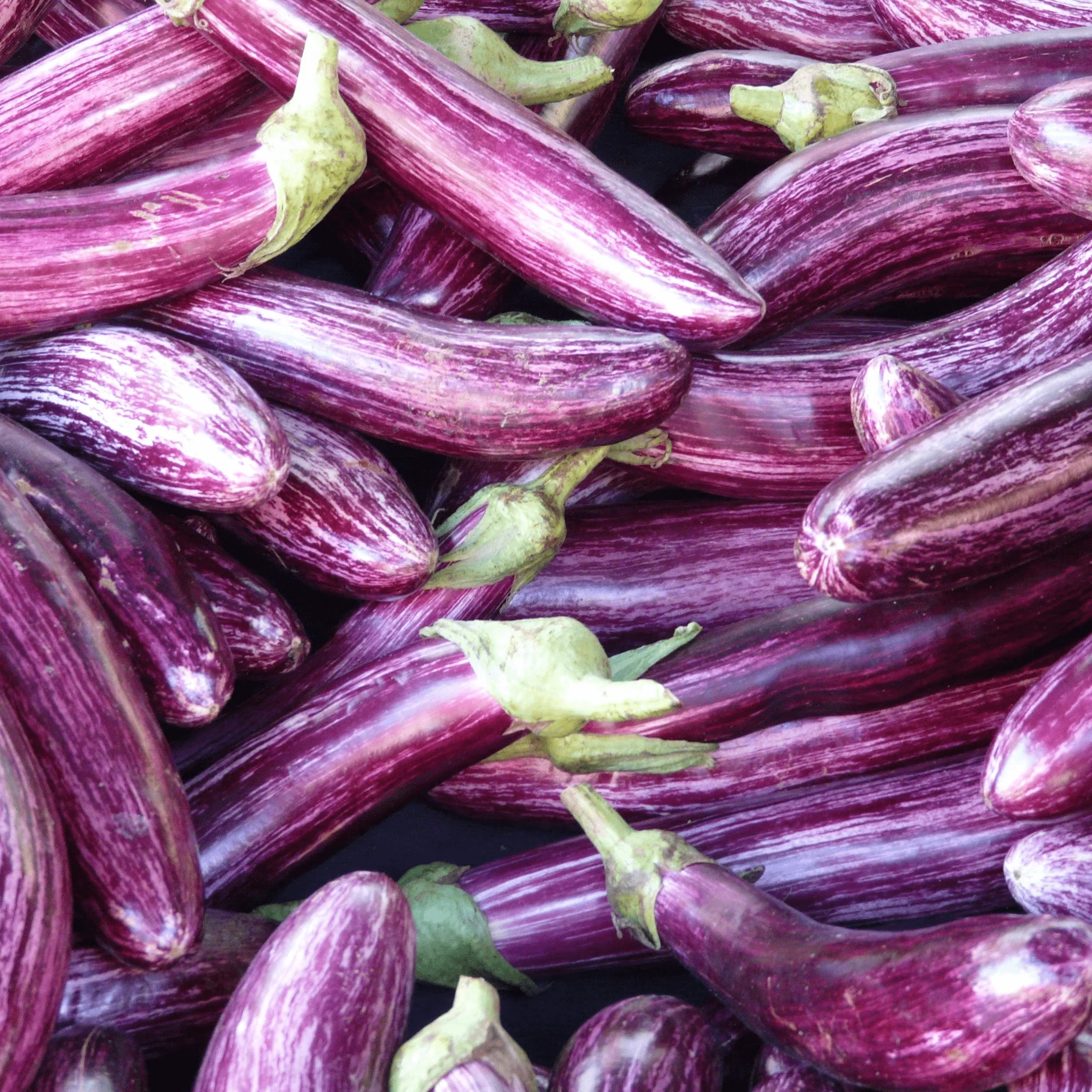 🍆 Aubergine Striée BIO – 1 kg - Image 2