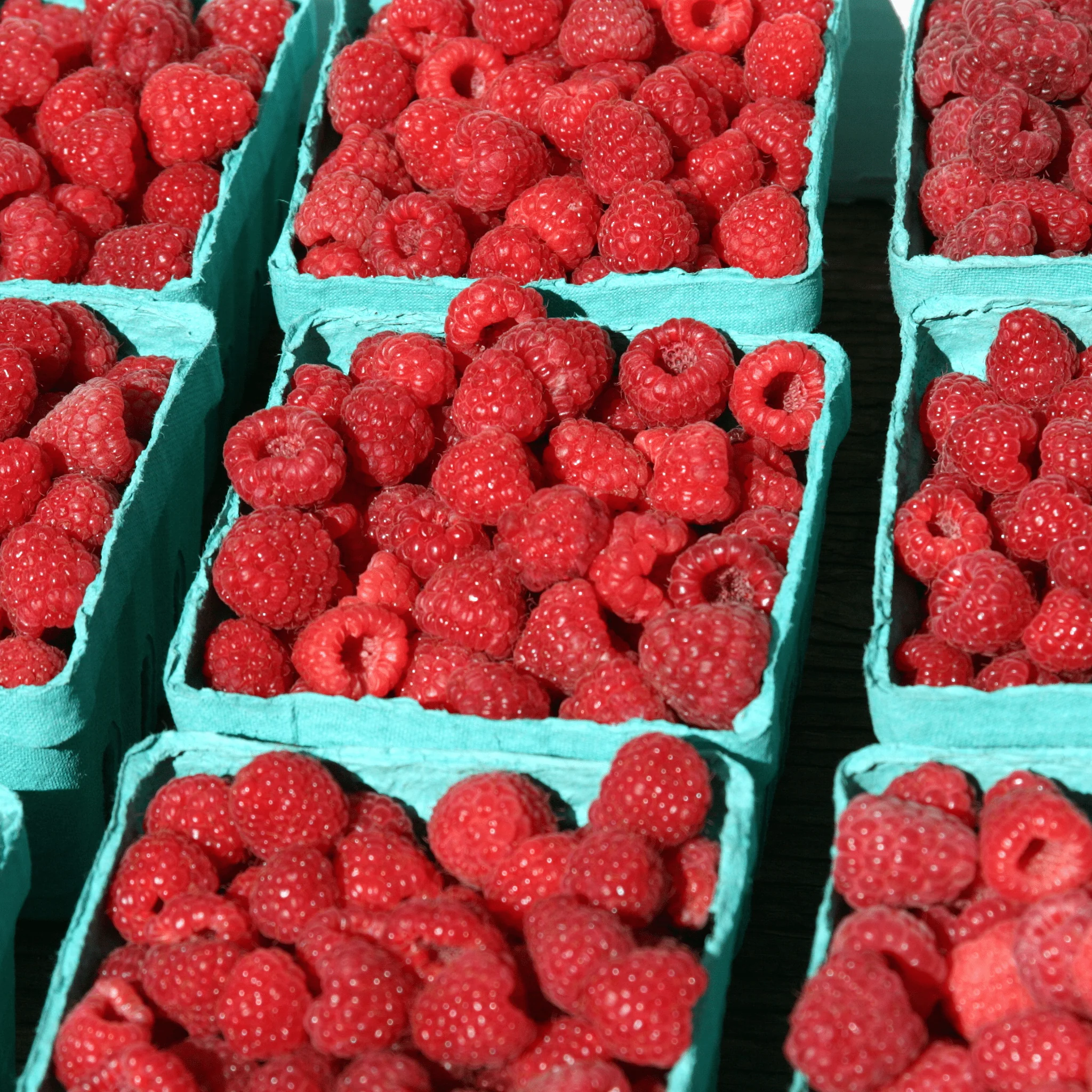 ❤️ Framboises – Barquette de 125g
