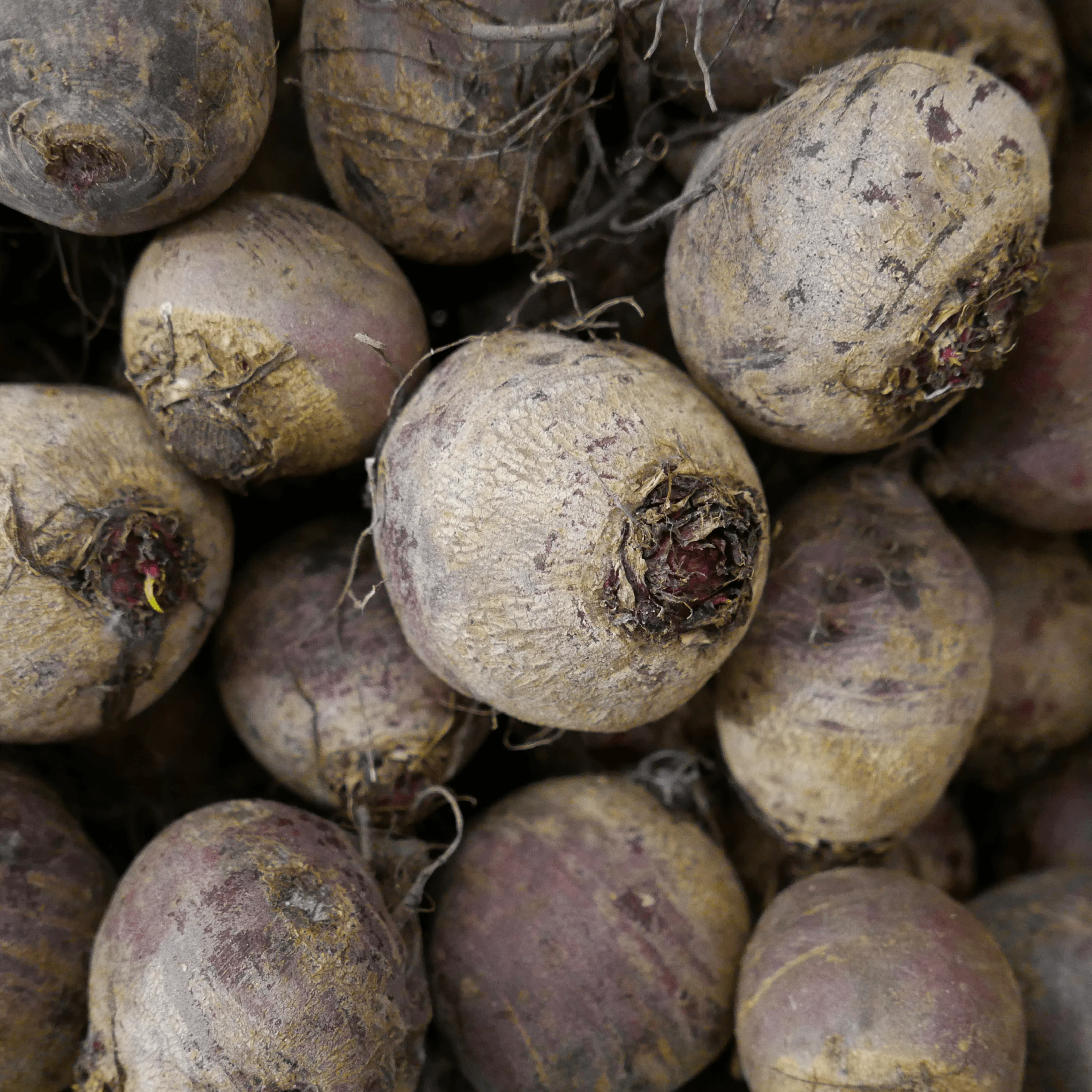 🌱 Betteraves Rouges – 1kg