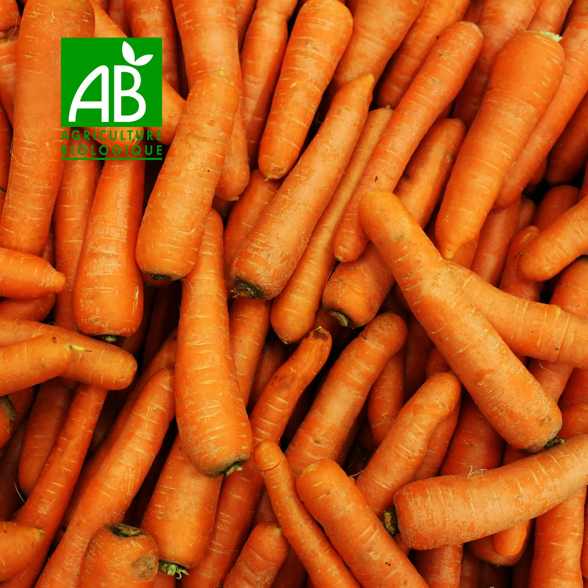 đ„ Carottes BIO â 1kg