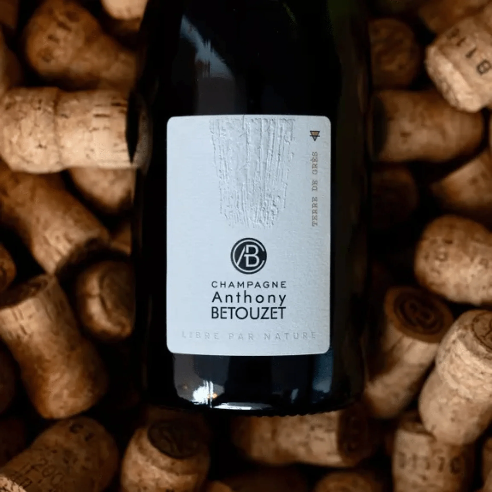 Champagne Terre de Grès Extra Brut - Image 3