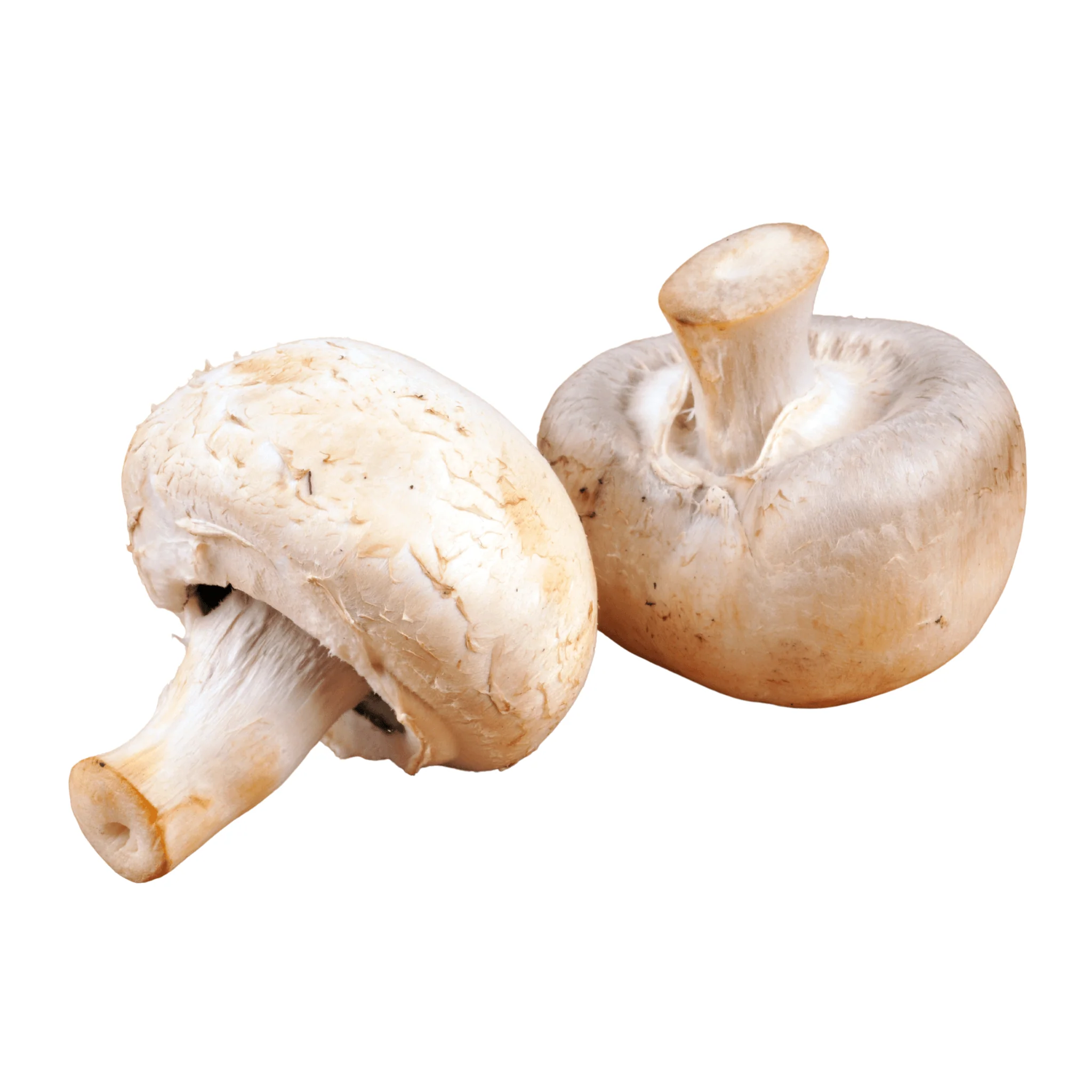 đ Champignons de Paris â 500g - Image 2
