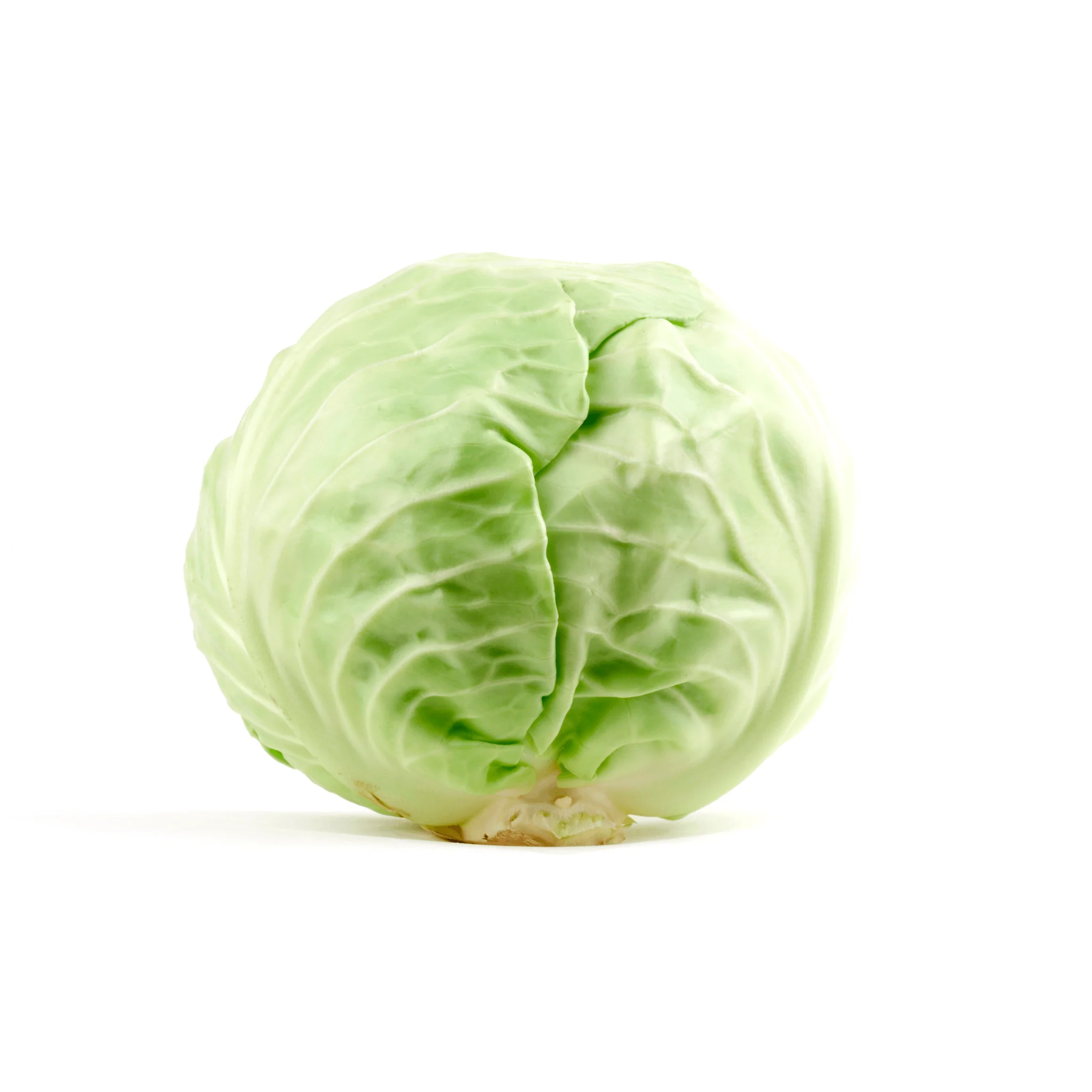 🥬 Chou Blanc – 1 Pièce - Image 2
