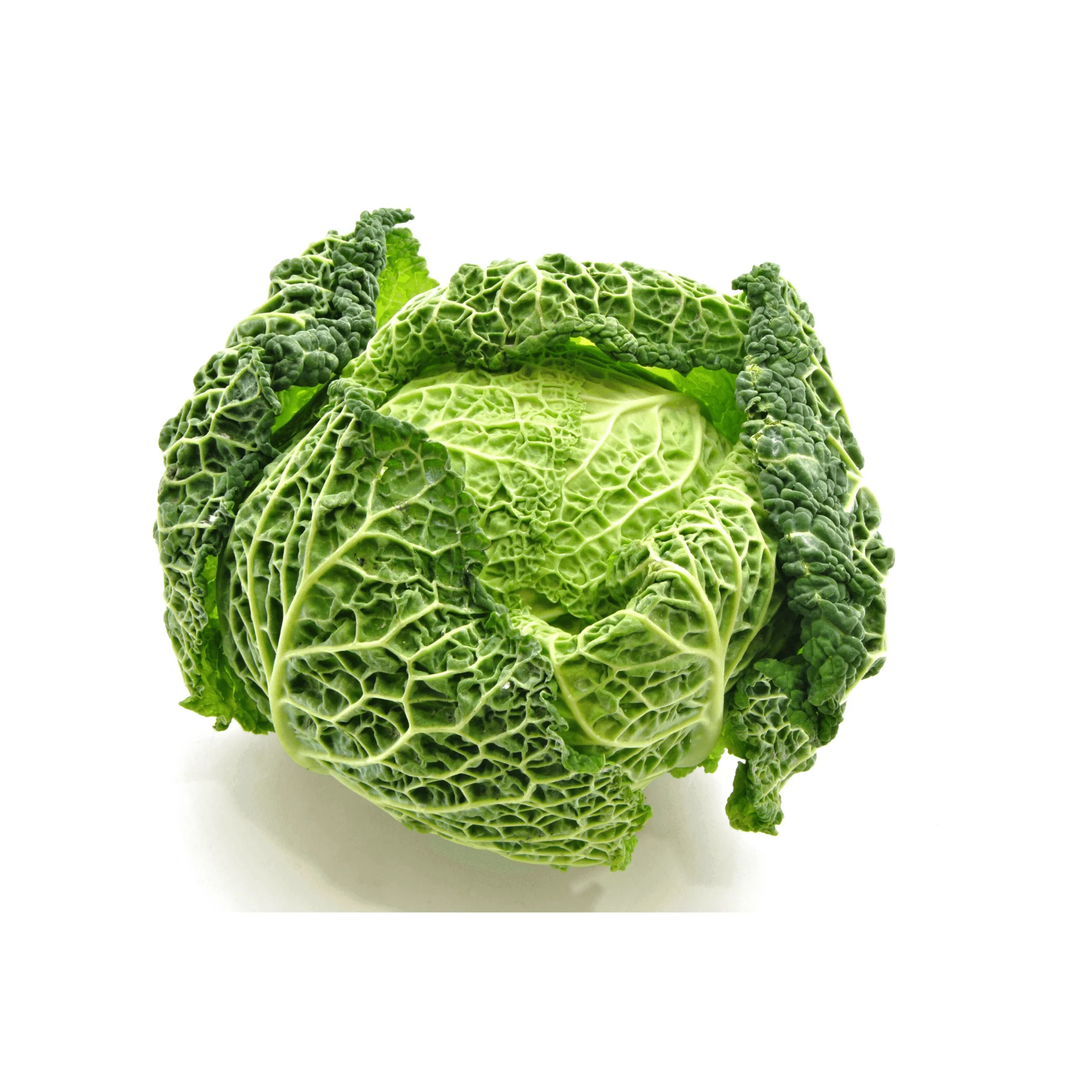 🥬 Chou Frisé BIO – 1 Pièce - Image 3