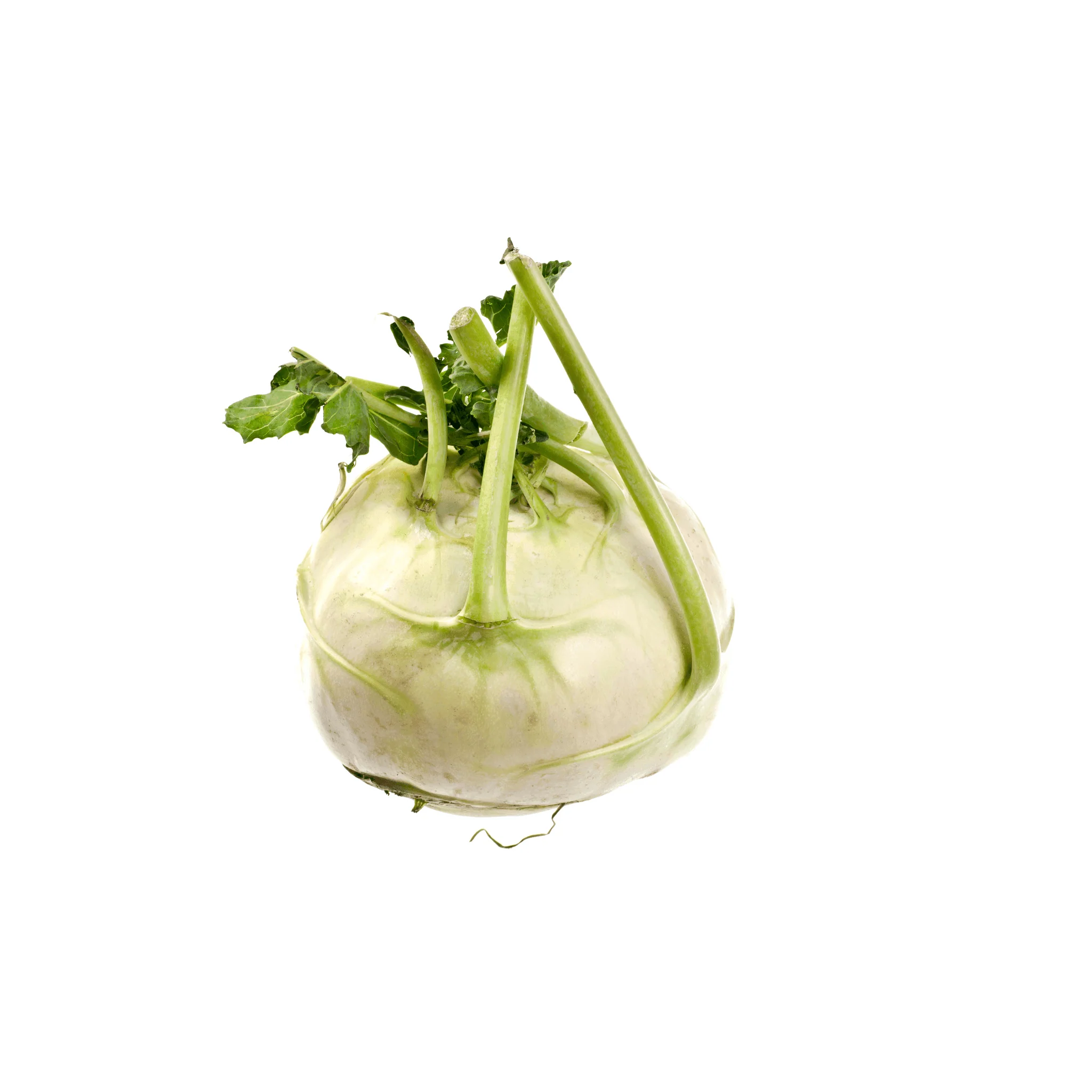🥬 Chou Rave Vert BIO – 1 Pièce - Image 2