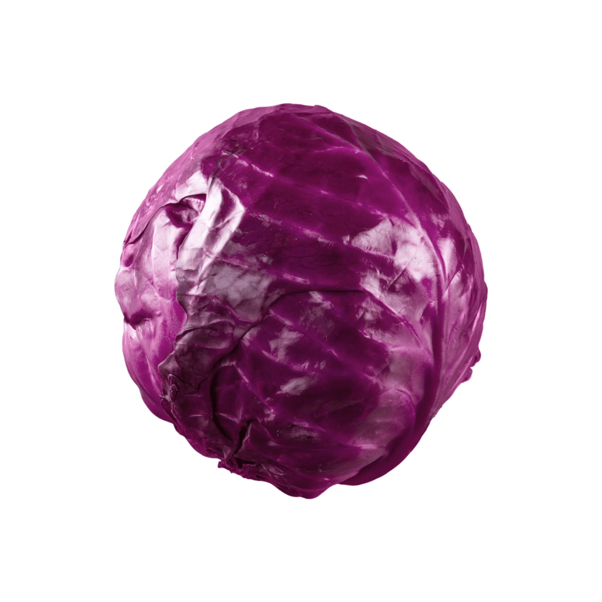 🥬 Chou Rouge – 1 Pièce - Image 2