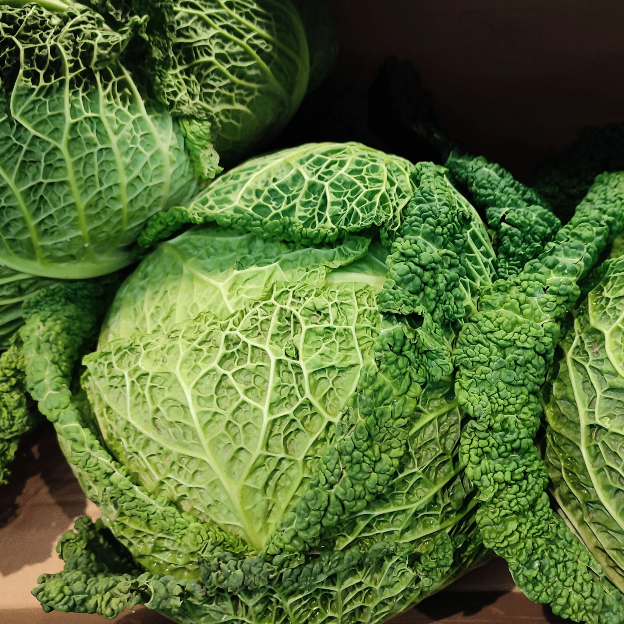 đ„Ź Chou Vert FrisĂ© â 1 PiĂšce