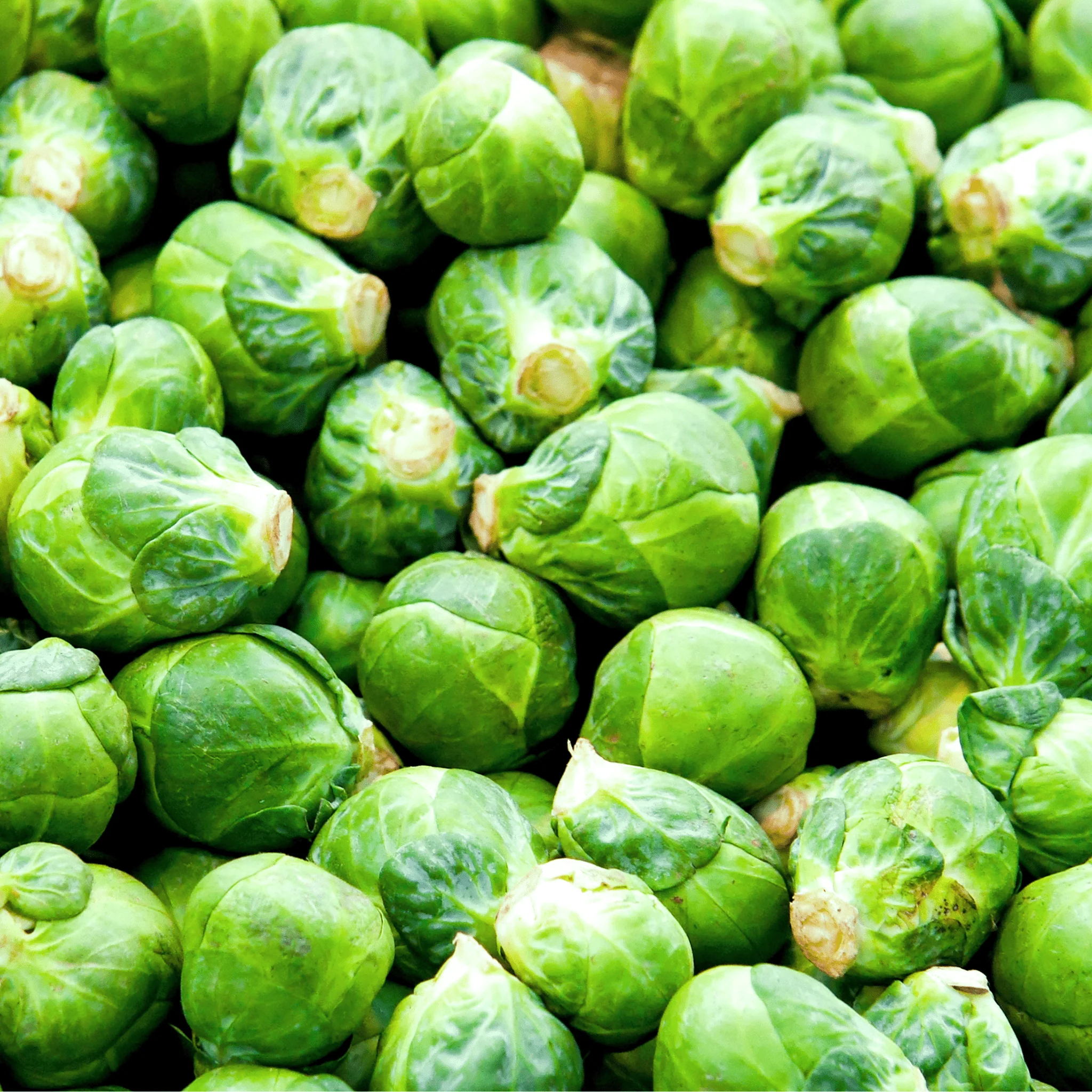 đ„Ź Choux de Bruxelles â 500g