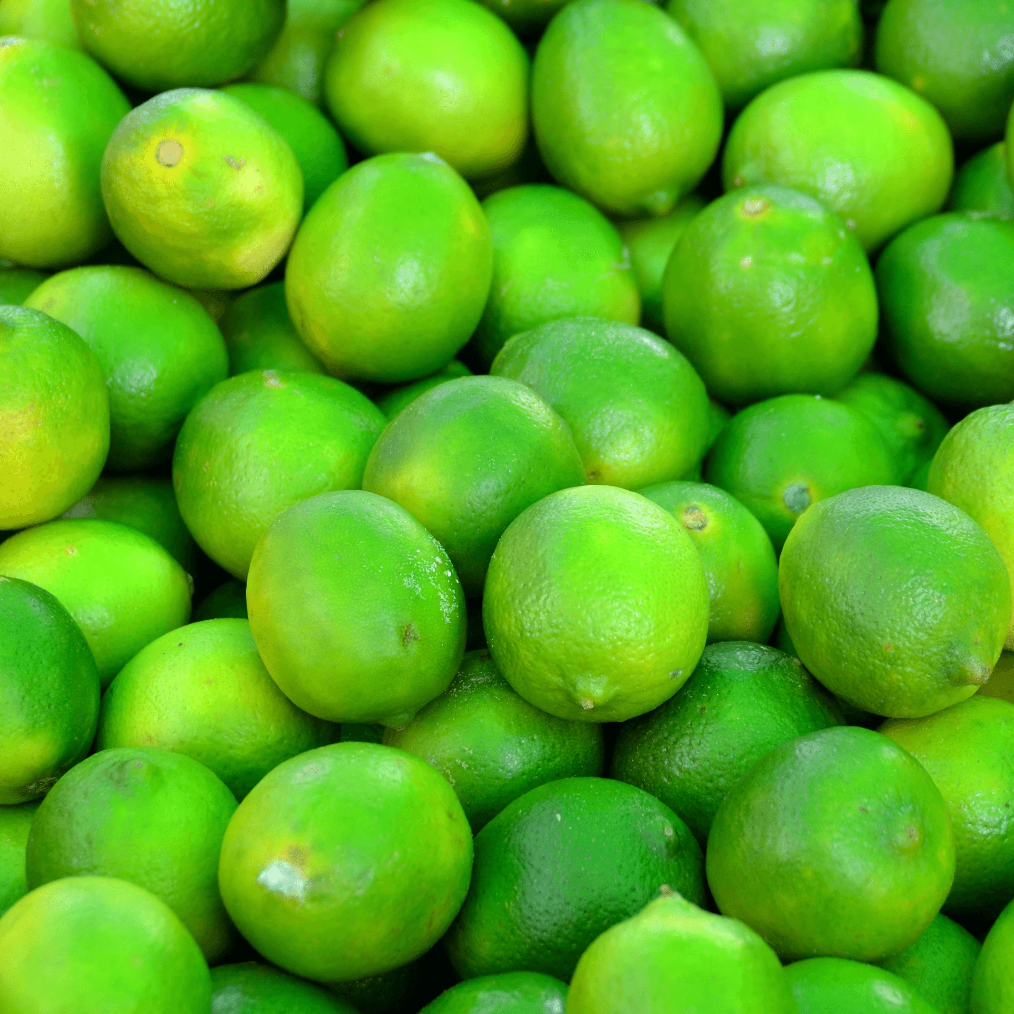 🍋 Citrons Verts – 500g