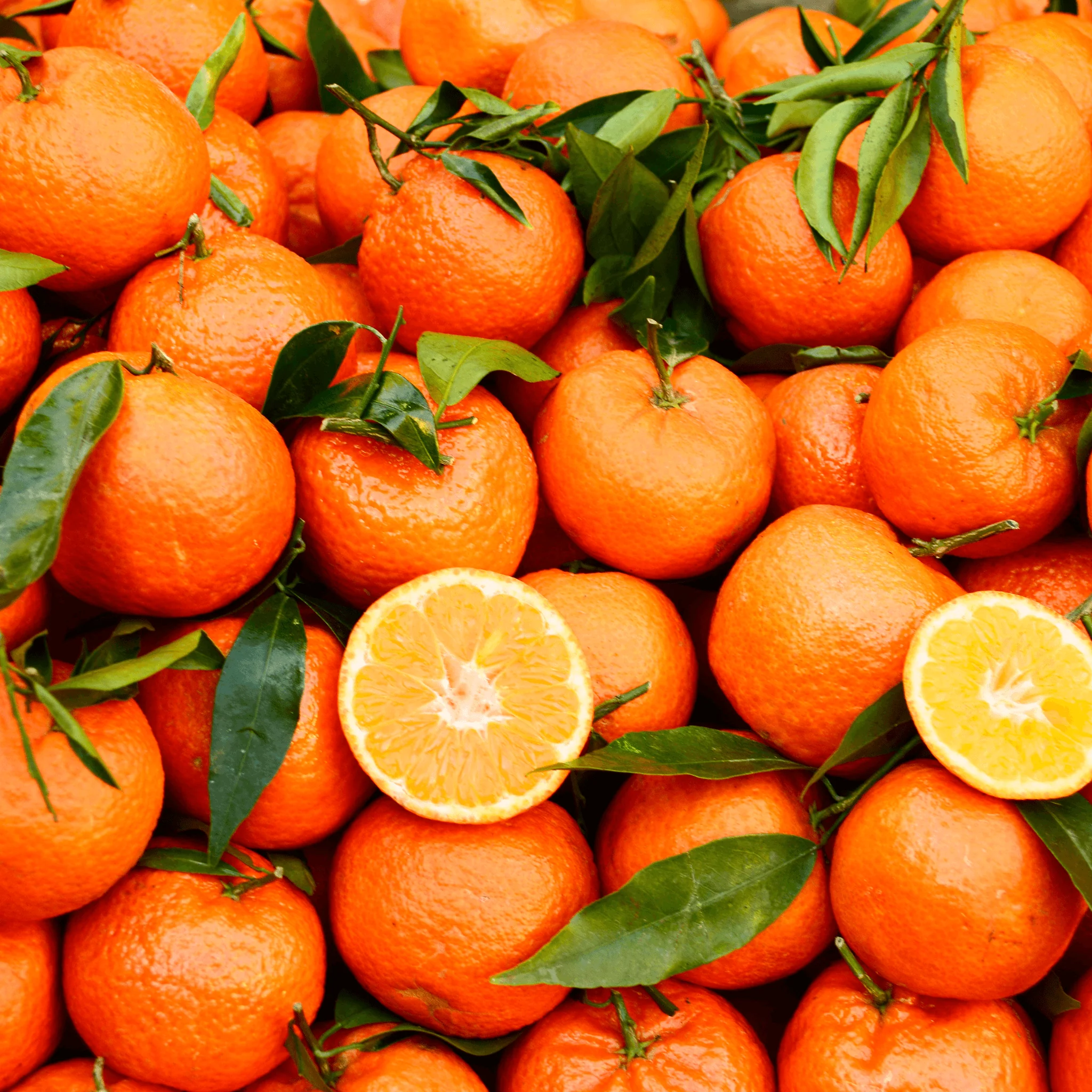 đ ClĂ©mentines de Corse IGP â 1kg - Image 2