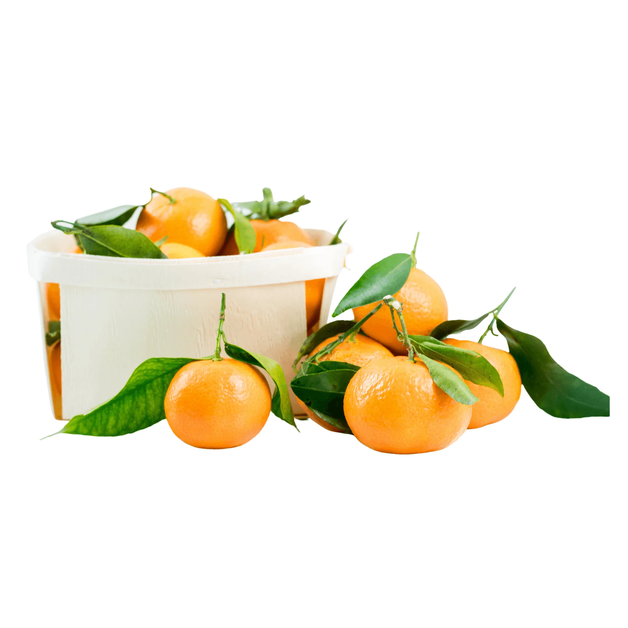 đ ClĂ©mentines de Corse IGP â 1kg - Image 3