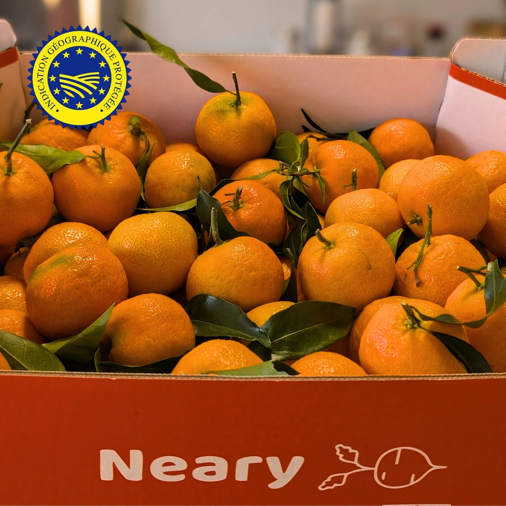 đ ClĂ©mentines de Corse IGP â Carton 5kg ou 2,5kg - Image 3