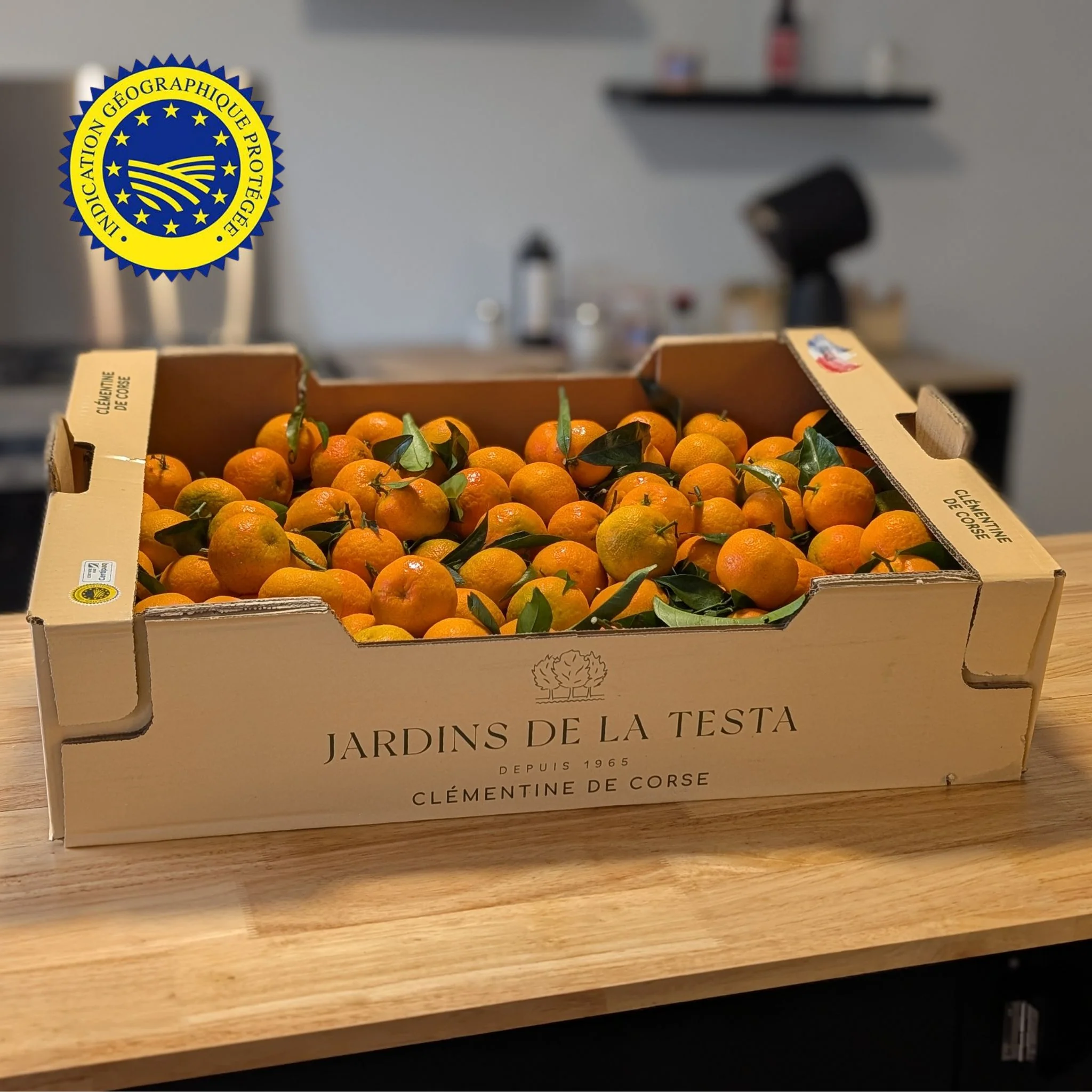 đ ClĂ©mentines de Corse IGP â Carton 5kg ou 2,5kg - Image 6