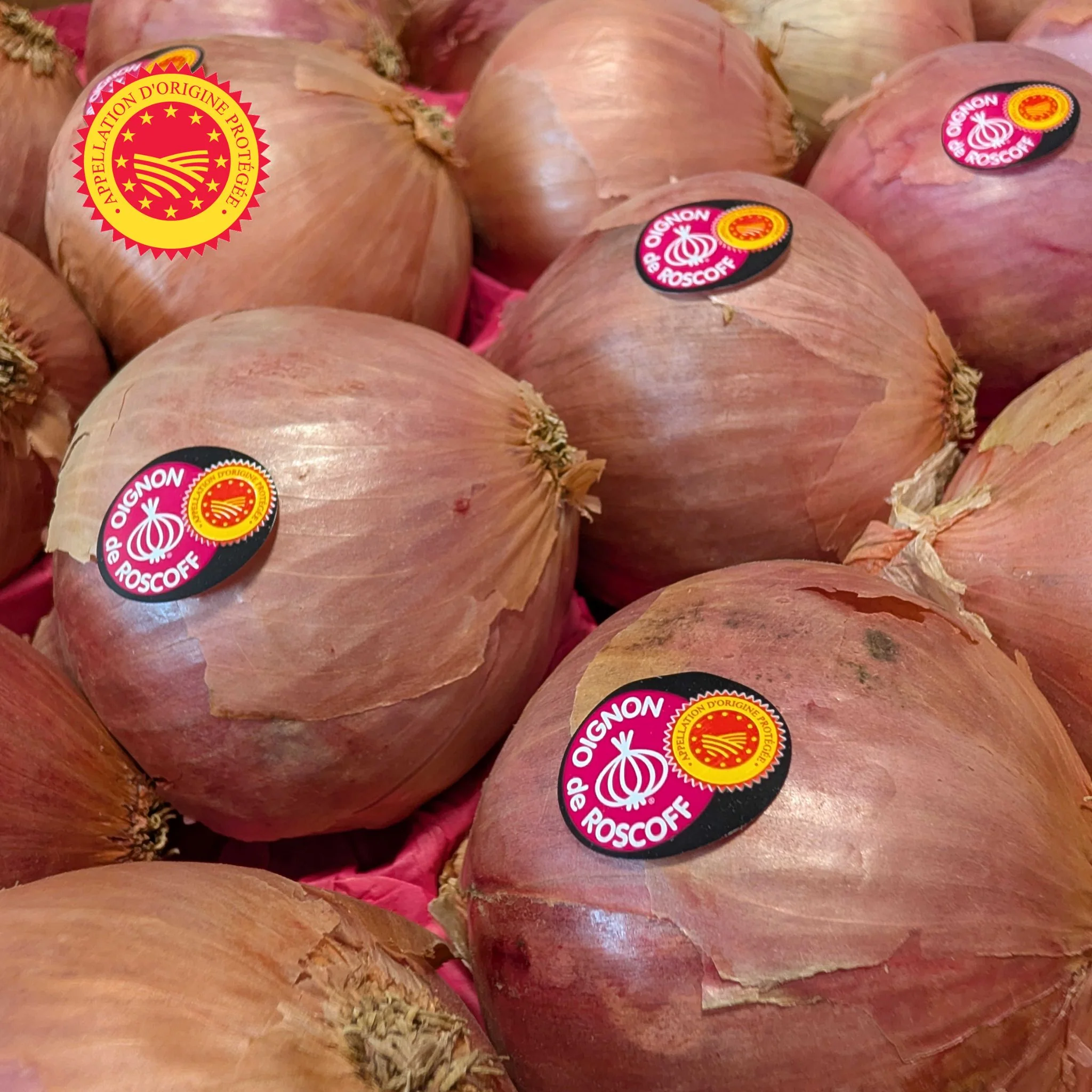 đ§
Colis dâOignons de Roscoff AOP â 5 kg - Image 2