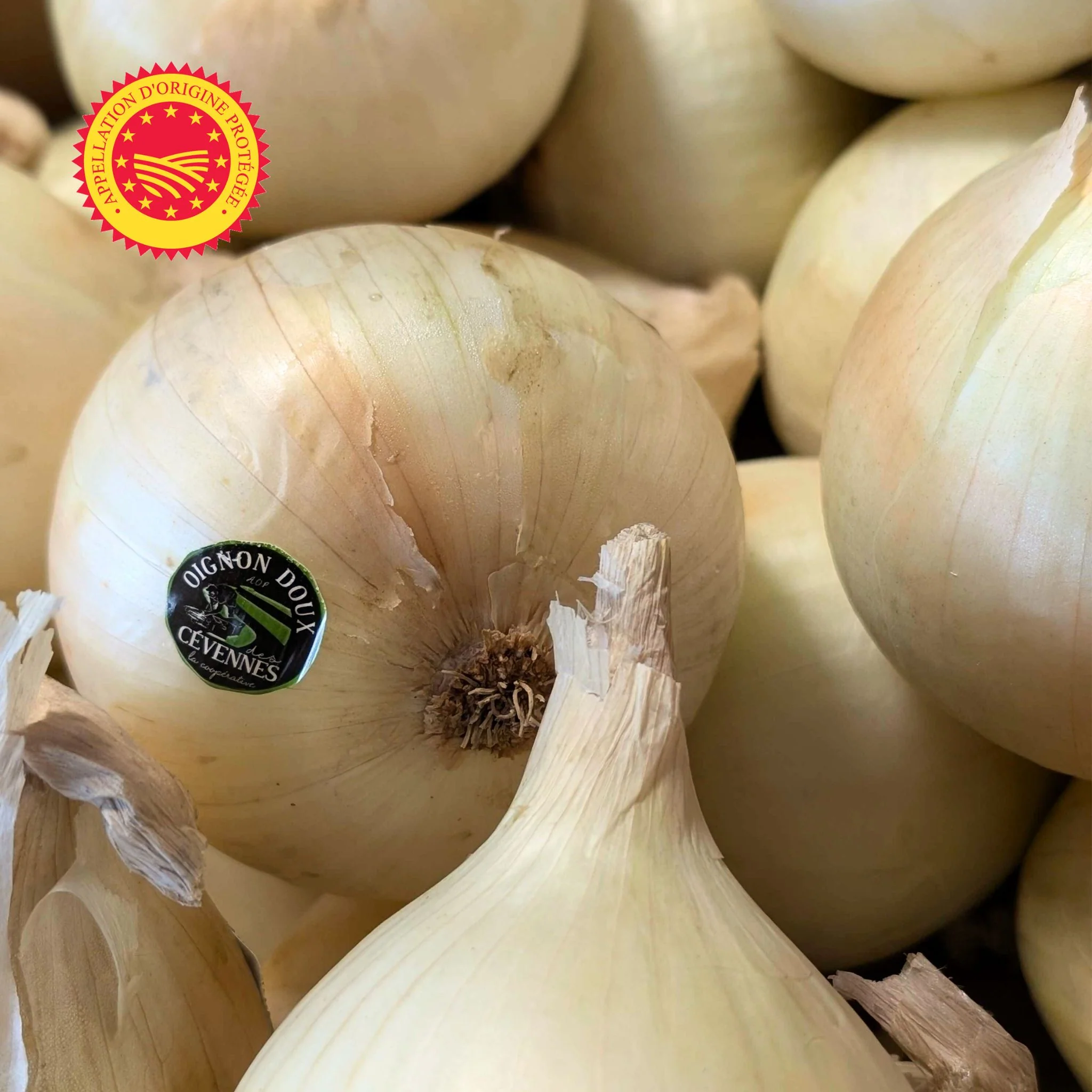 đ§
Oignons doux des CĂ©vennes AOP â 1 kg