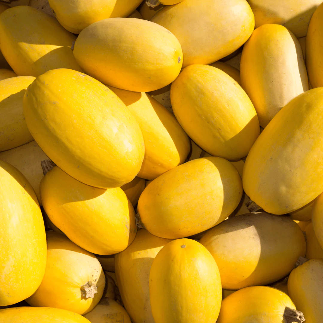 🎃 Courge Spaghetti – 1 pièce (≈ 1 kg)