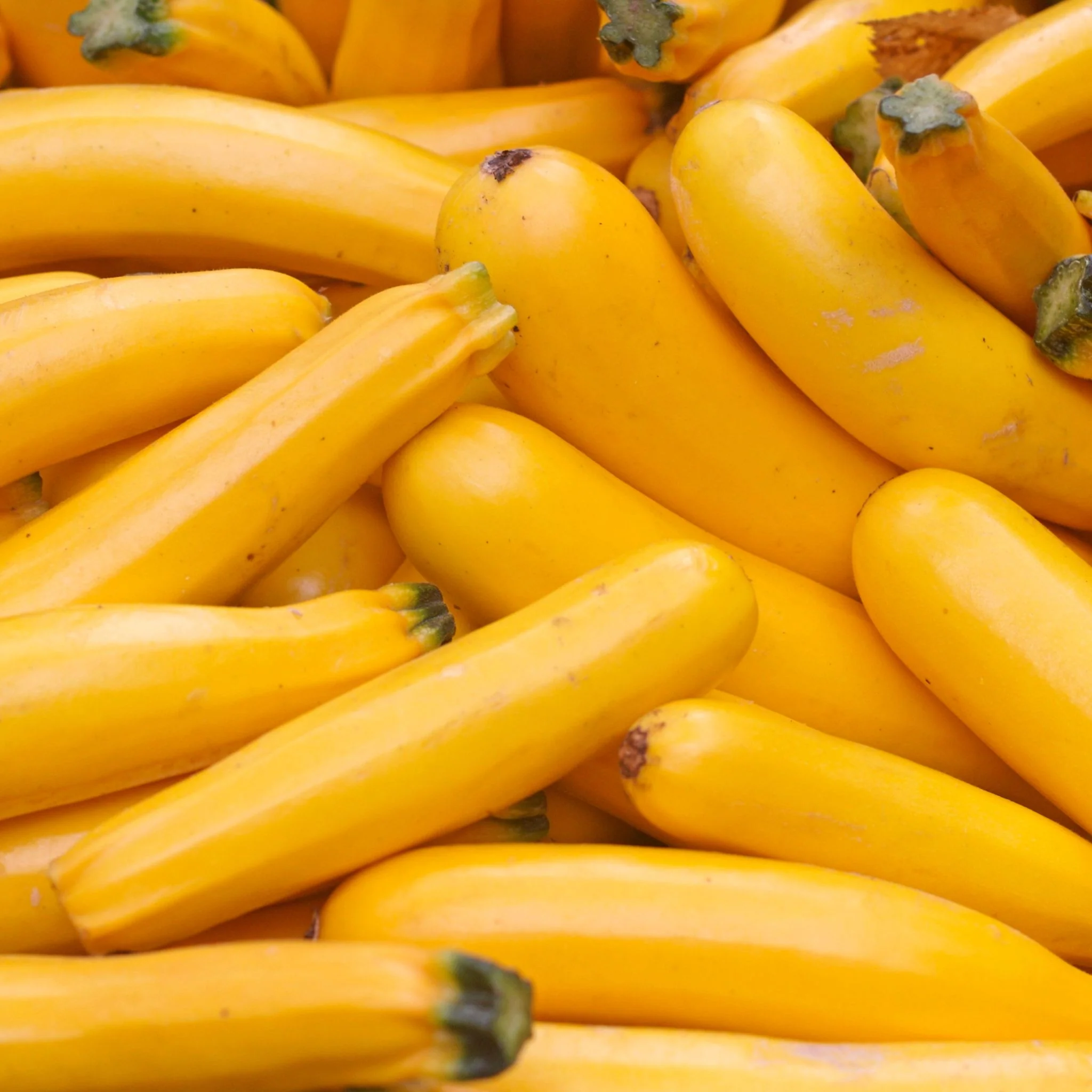🥒 Courgettes jaunes – 1kg