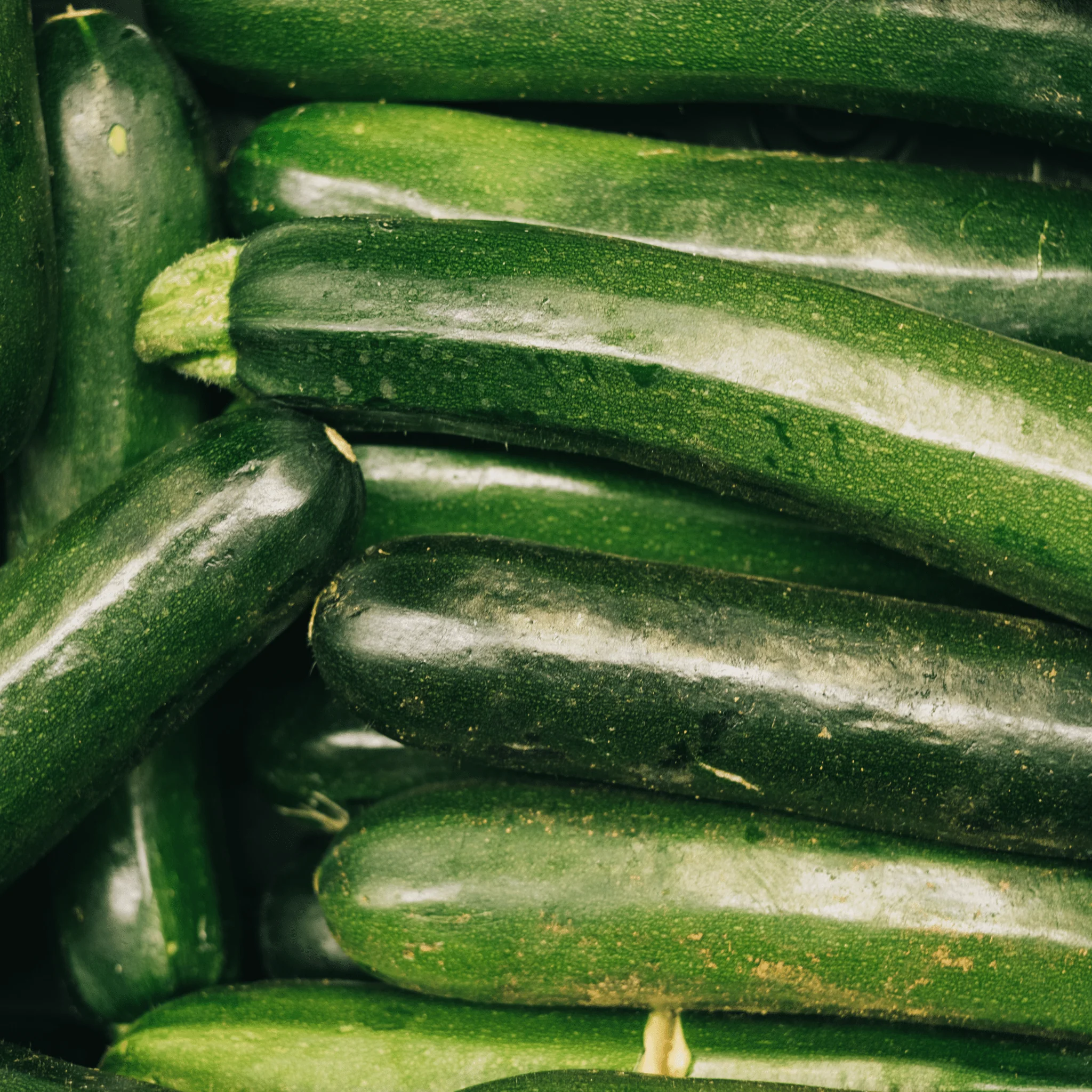 🥒 Courgettes Vertes – 1 kg