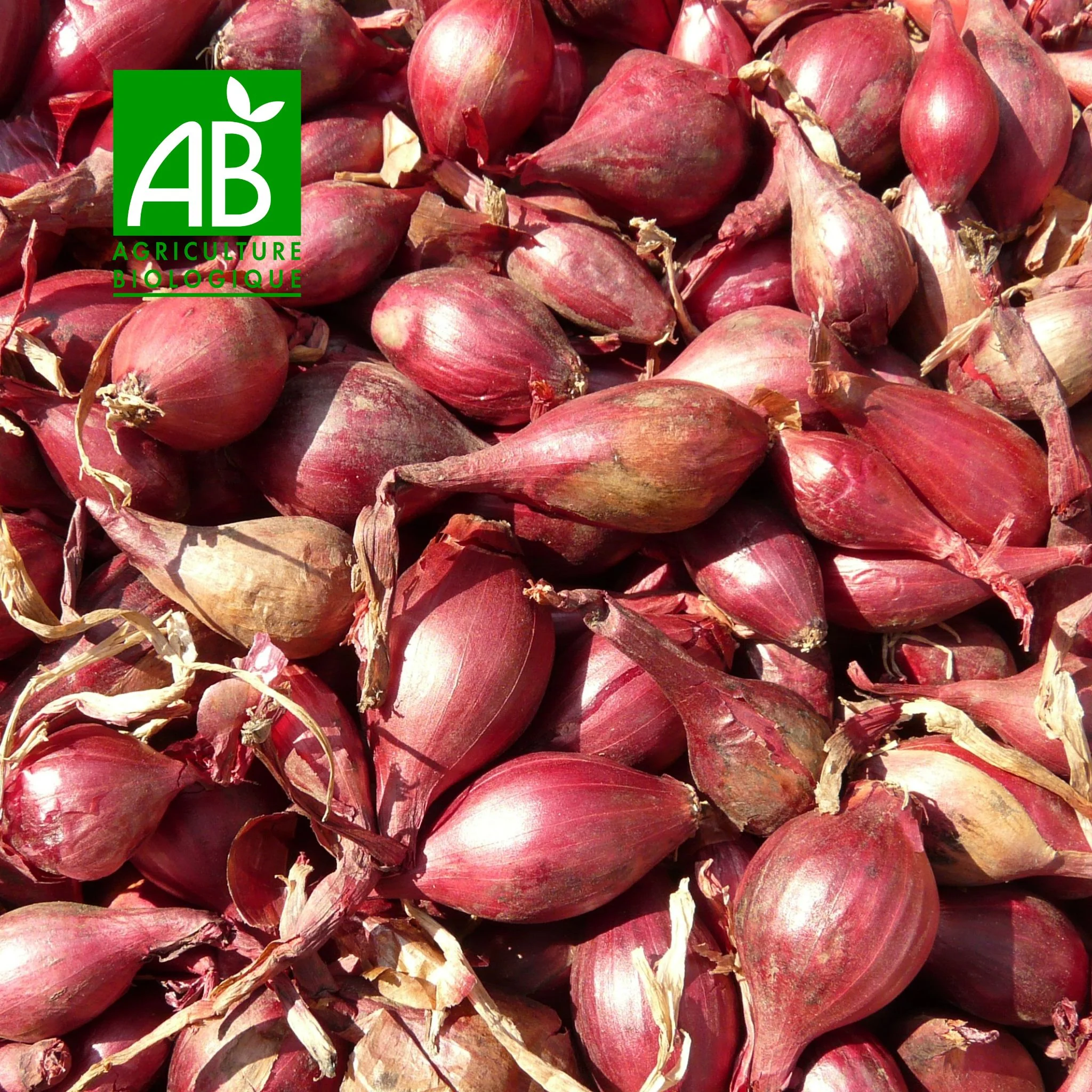 đ§
Ăchalotes BIO â 500 g