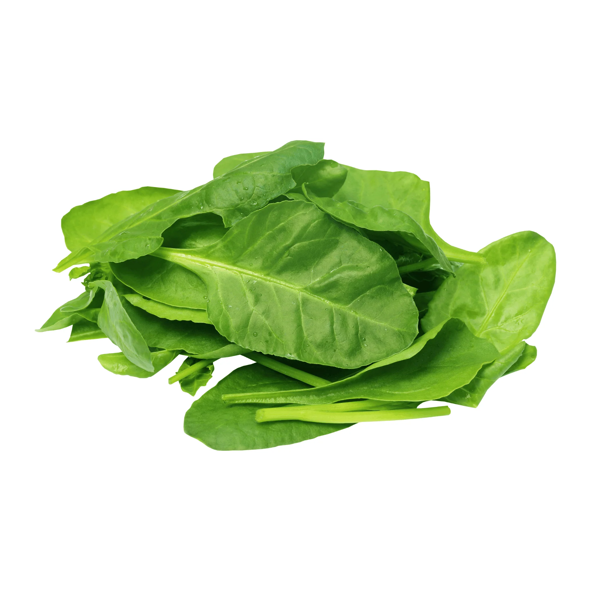 Epinard BIO - 1kg