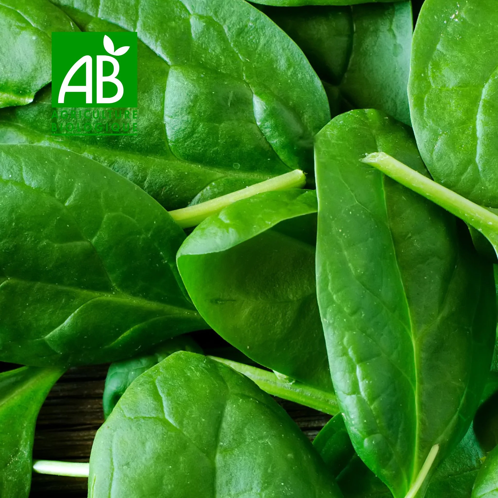 đż Ăpinards BIO â 500g ou 1kg