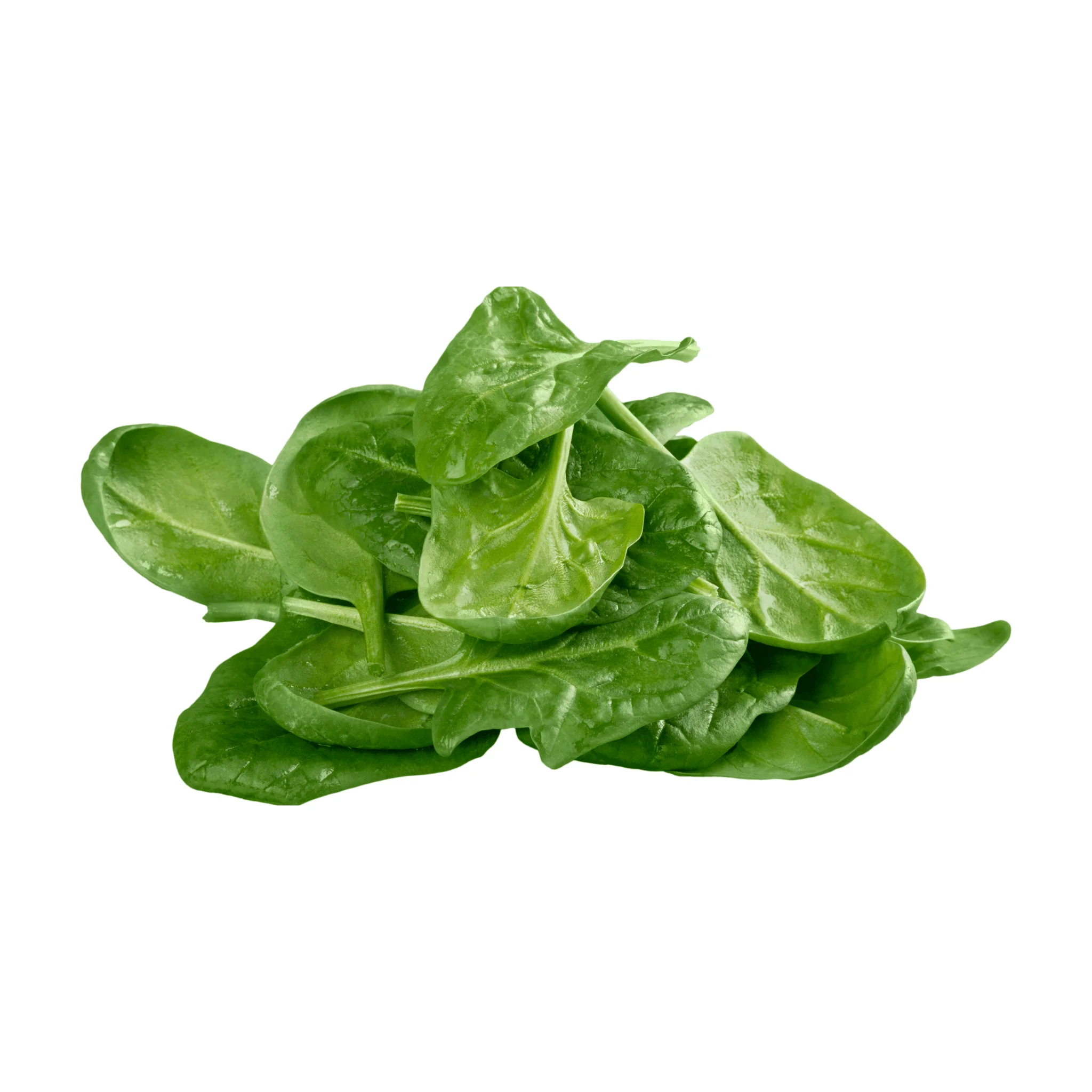 đż Ăpinards BIO â 500g ou 1kg - Image 3