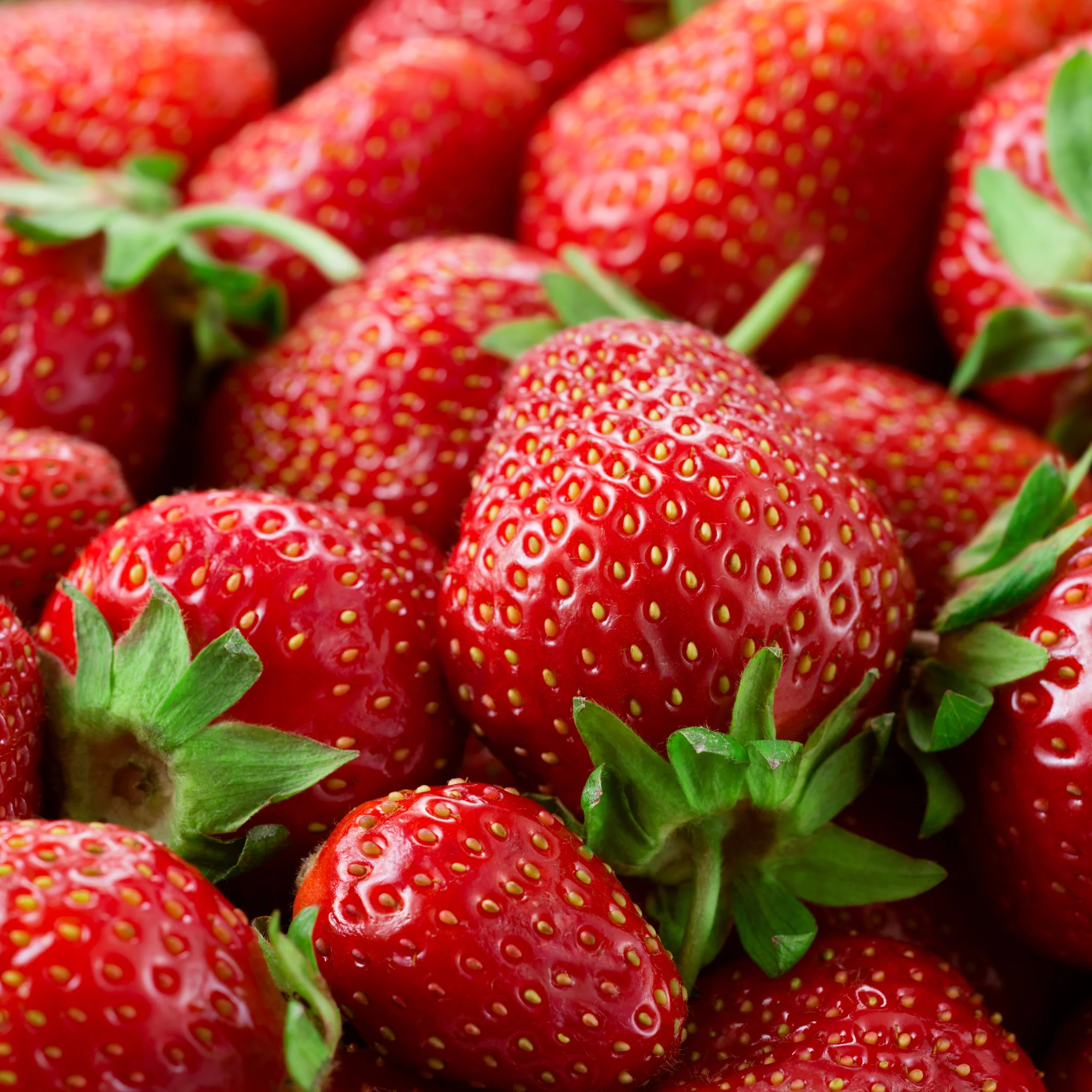 đ Fraises Clery â Barquette de 500g