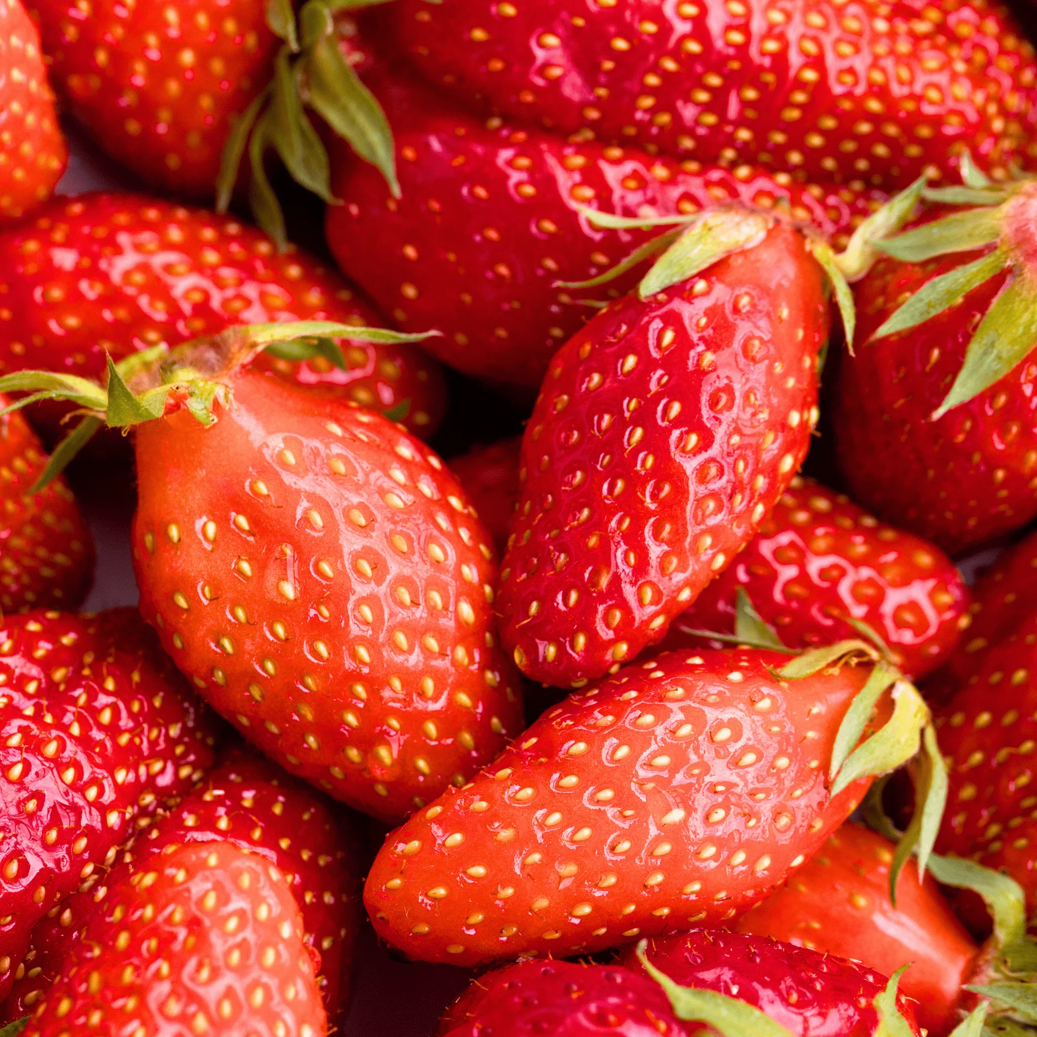 đ Fraises Gariguette France - la barquette de 250g