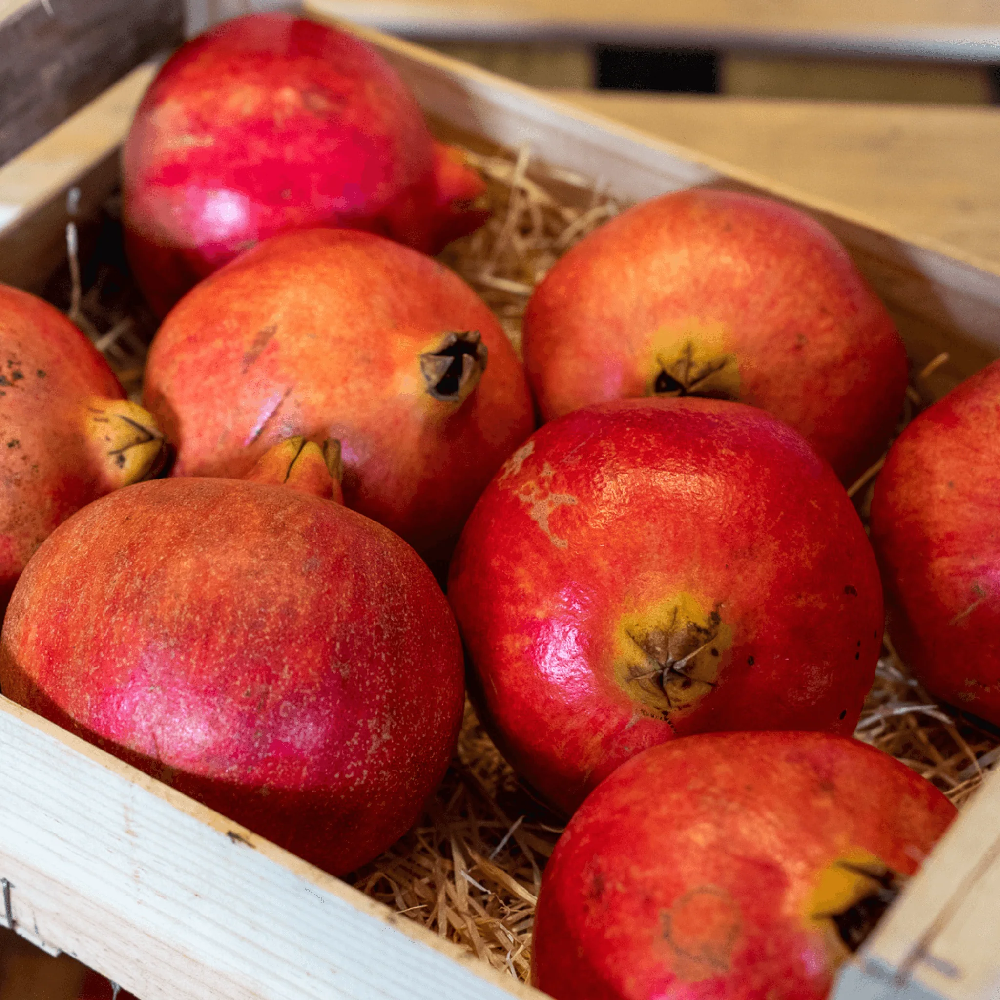 đ Grenade Mollar de Elche AOP â 1 fruit