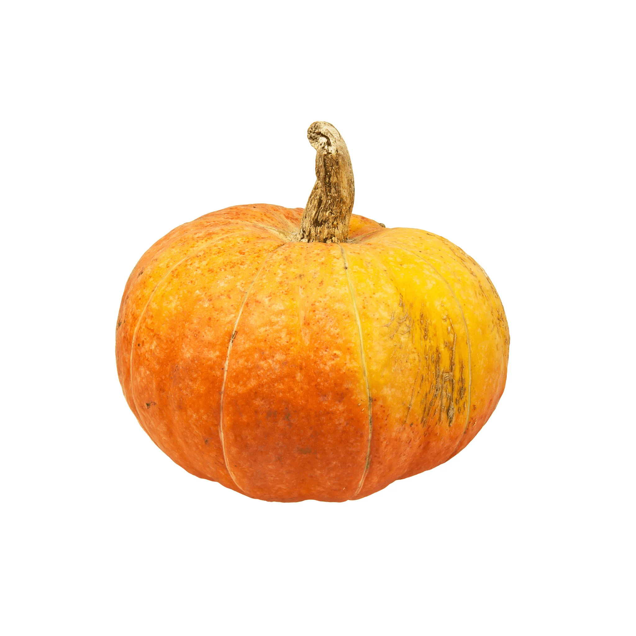 Jack be little orange BIO - 1kg