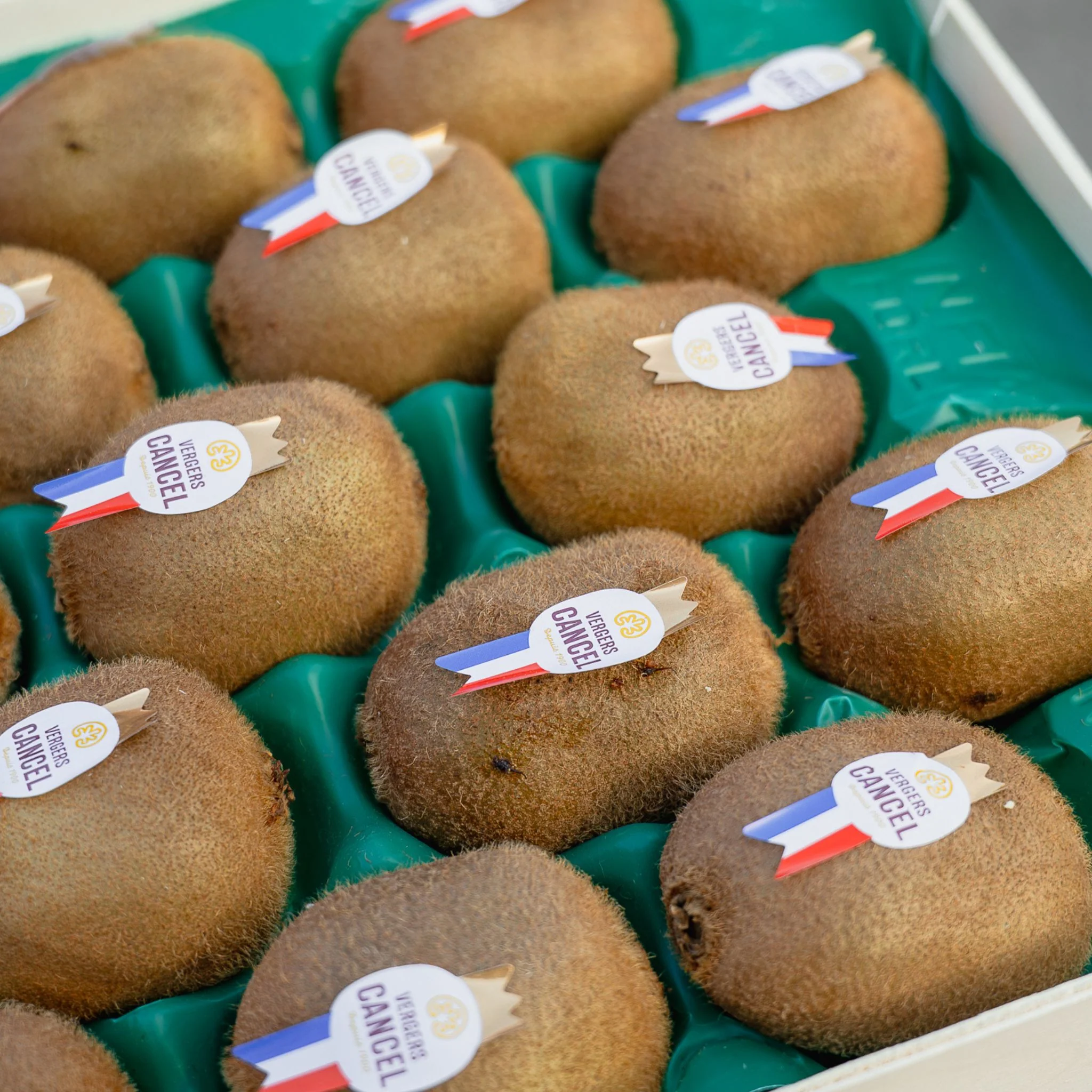 🥝 Kiwi français – Variété Hayward (115/125 g) - Image 2