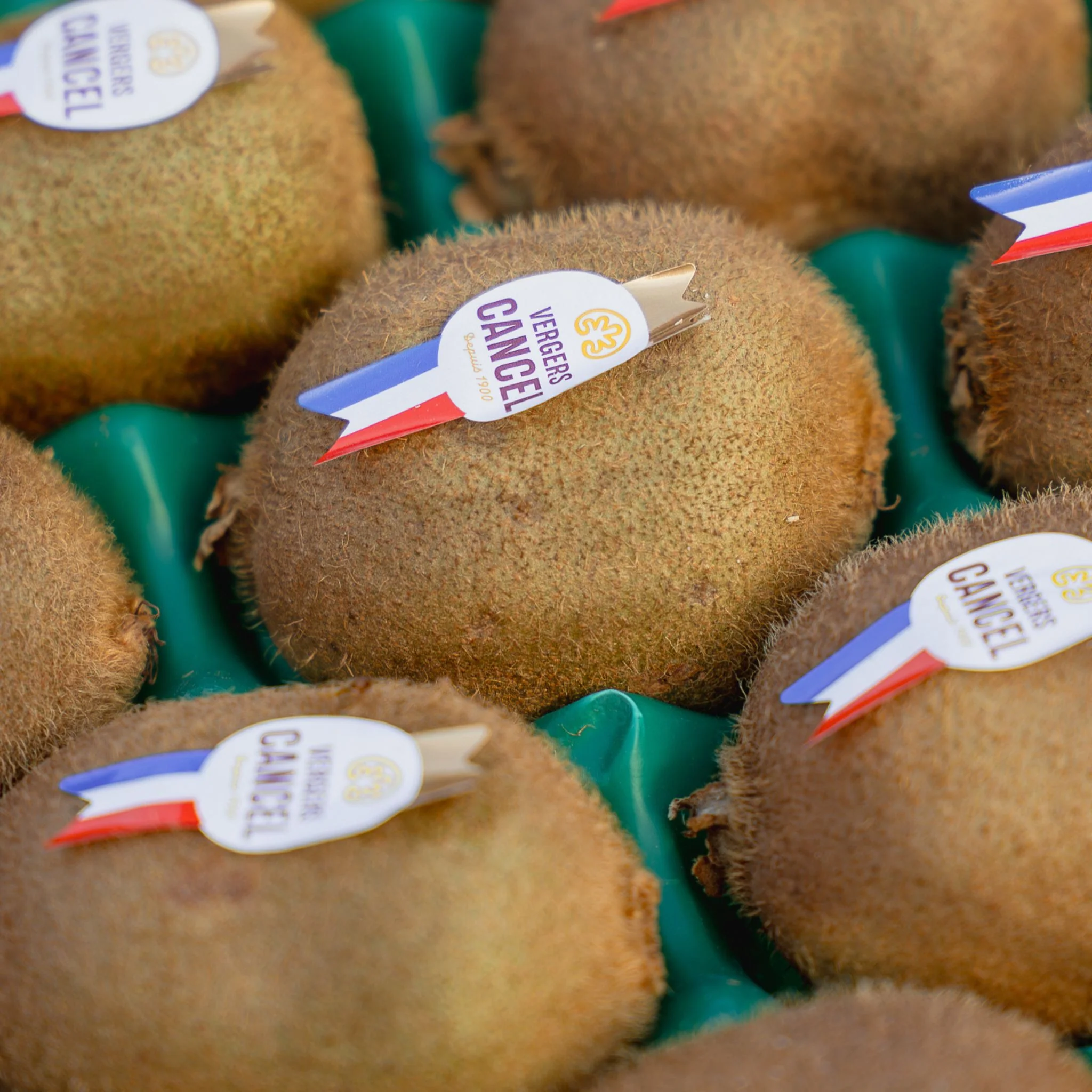 🥝 Kiwi français – Variété Hayward (115/125 g) - Image 3