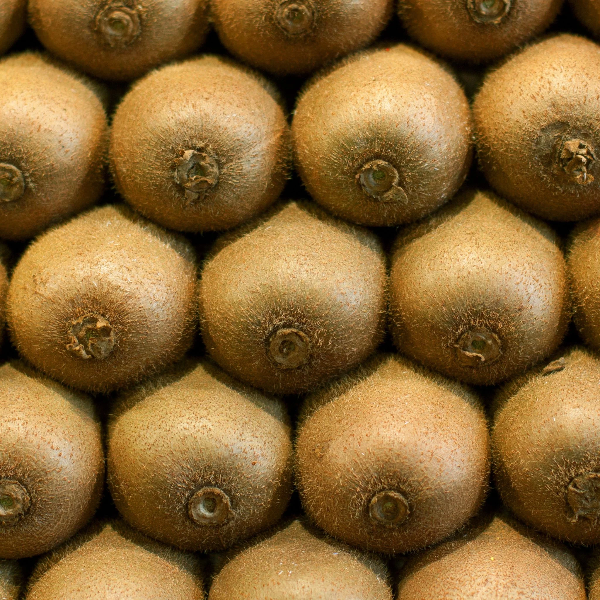 🥝 Kiwis verts – 10 Pièces (70/75g)