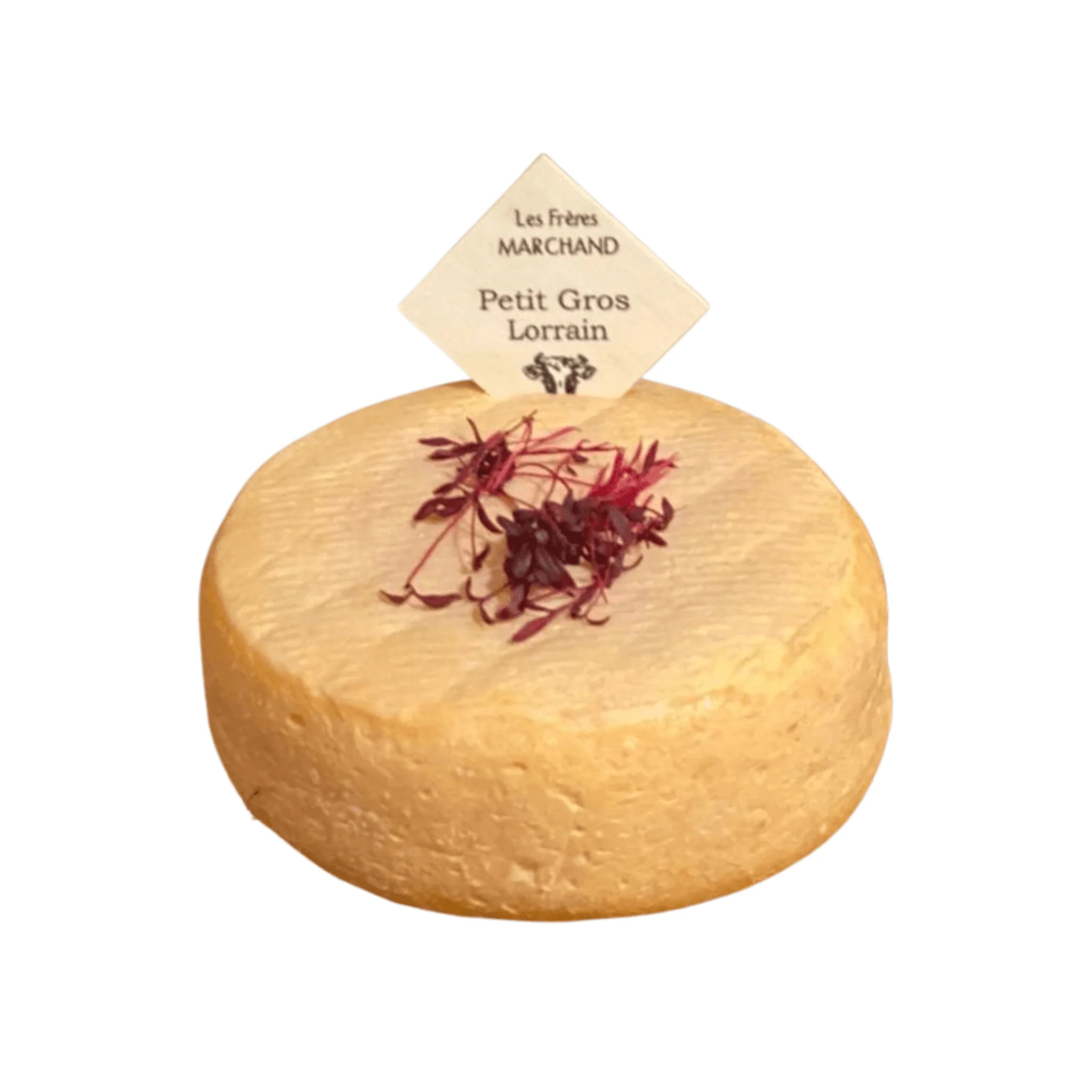 đ Le P'tit Gros Lorrain des FrĂšres Marchand â Fromage au lait cru de vache â 465g