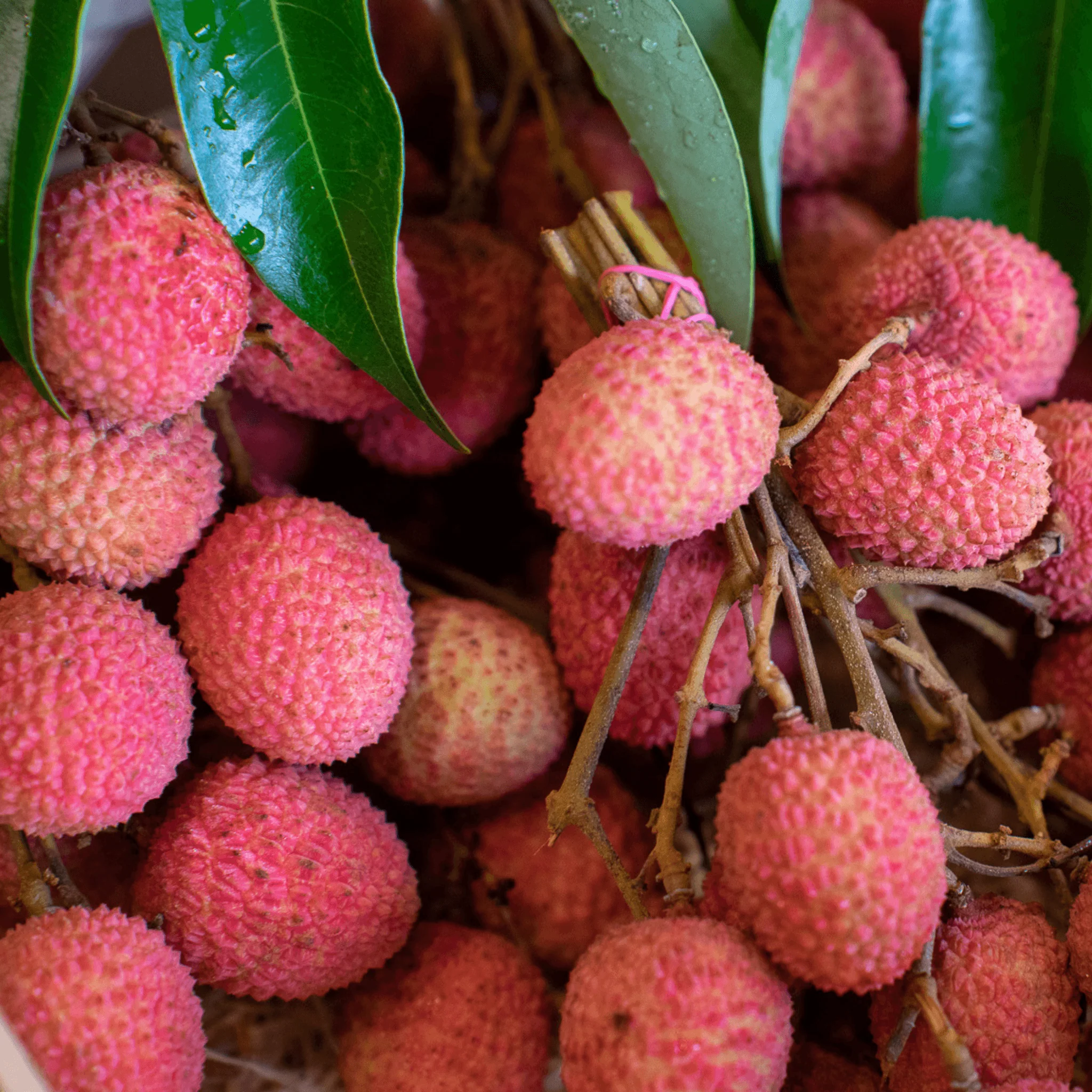 đ Litchis en Branche â 1kg (RĂ©union)