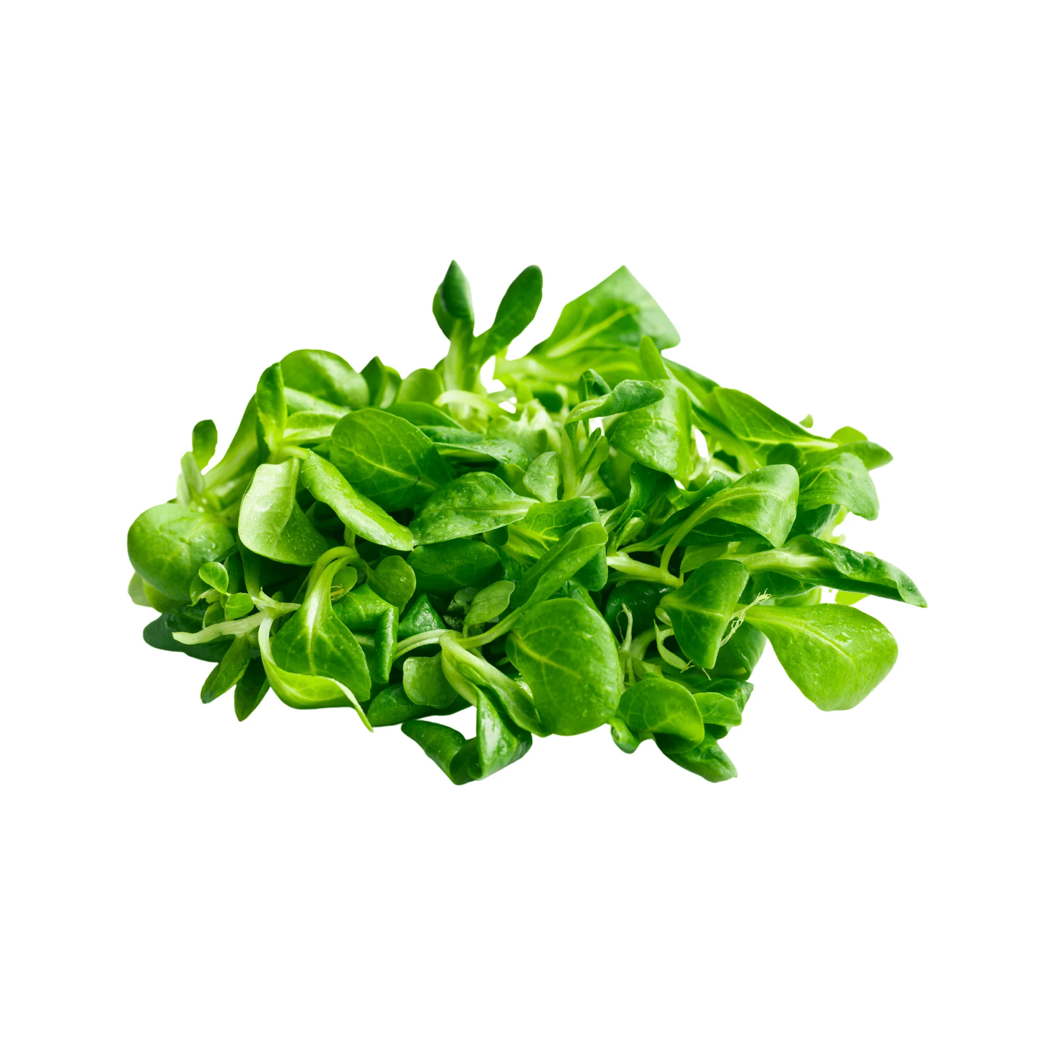 Mâche BIO - 100g