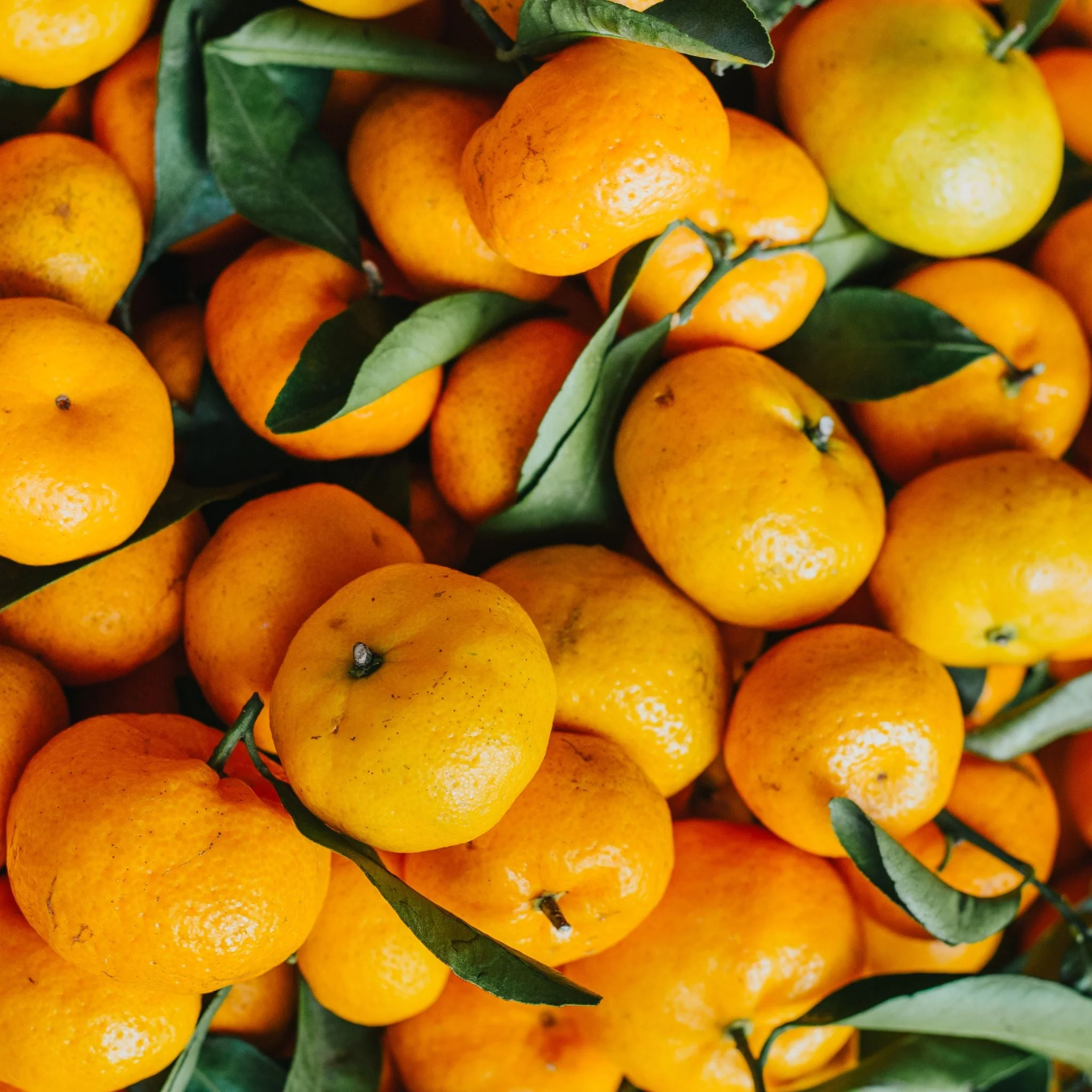 🍊 Mandarines Orri – 500g