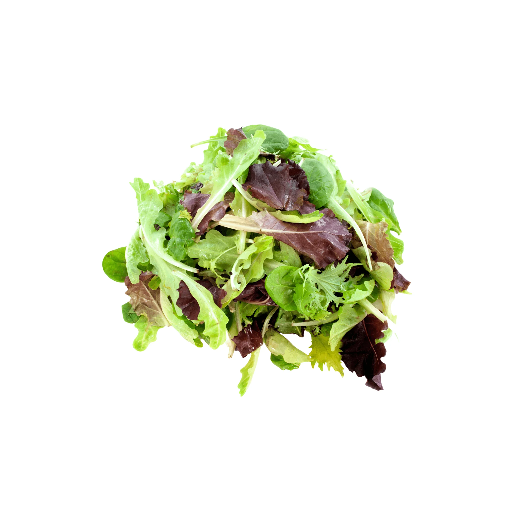 Mesclun BIO - 100g